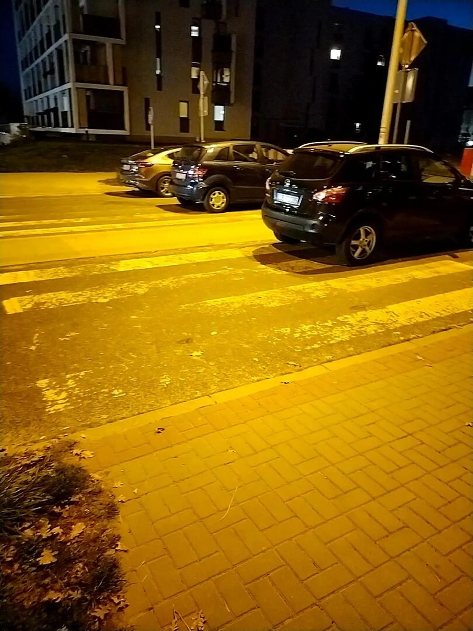 No trzeba mieć siano zamiast mózgu by tak parkować!!!