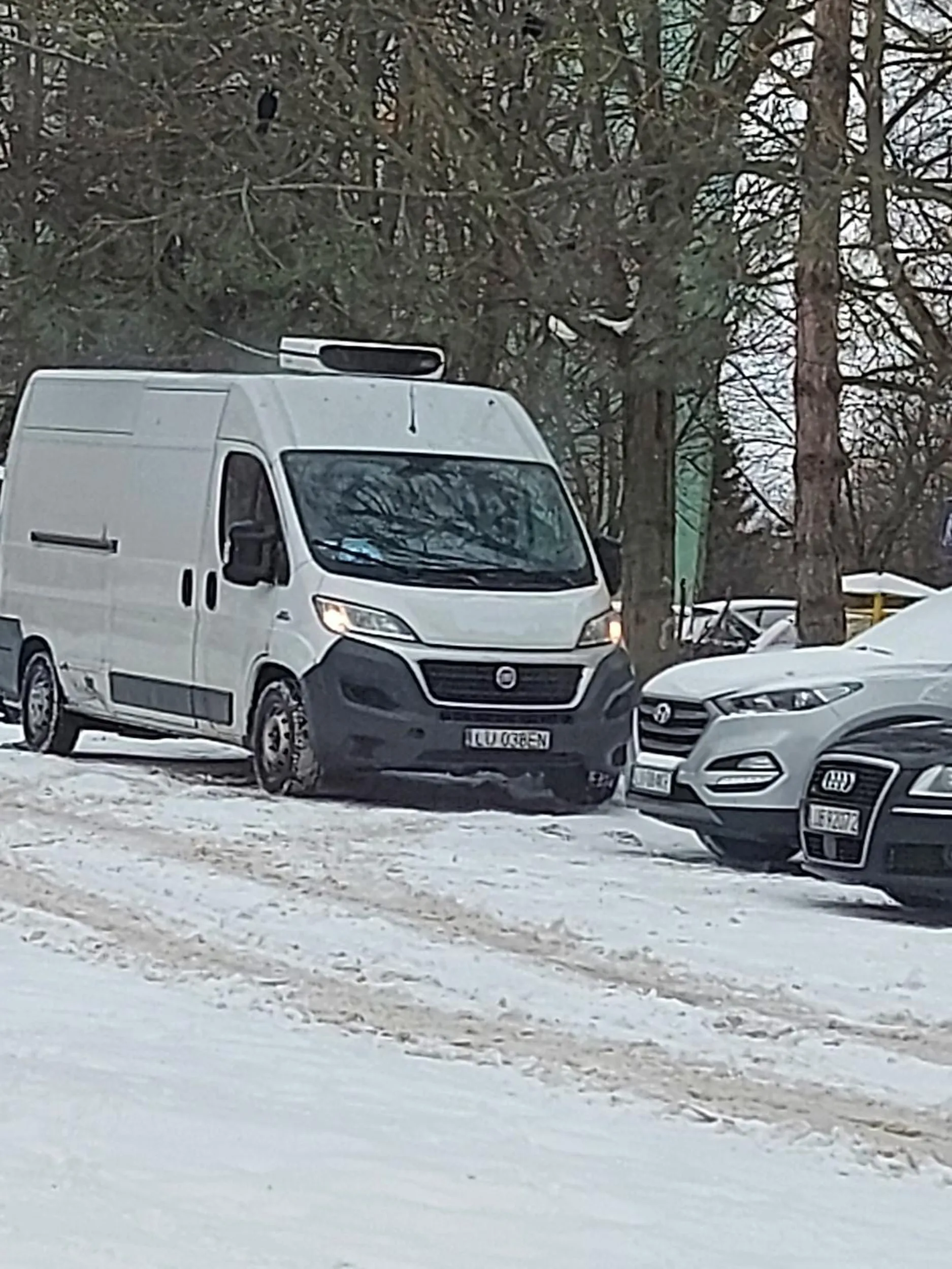 Agresywne wyprzedzanie, cała woda z kałuży spod jego kół poszla mi na przednią szybę i w tym samym momencie zajechał mi drogę baran. A wszystko po to żeby resztę drogi jechac powoli przede mną.