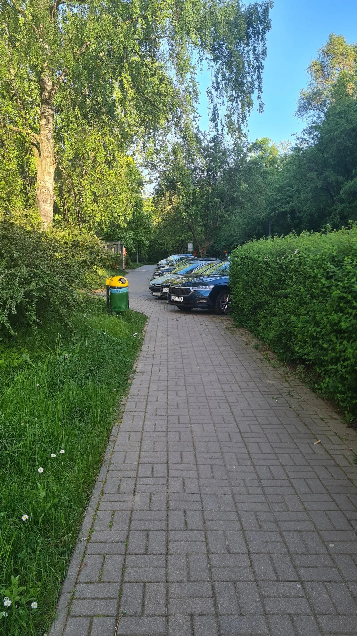 Zostaw miejsce dla pieszych