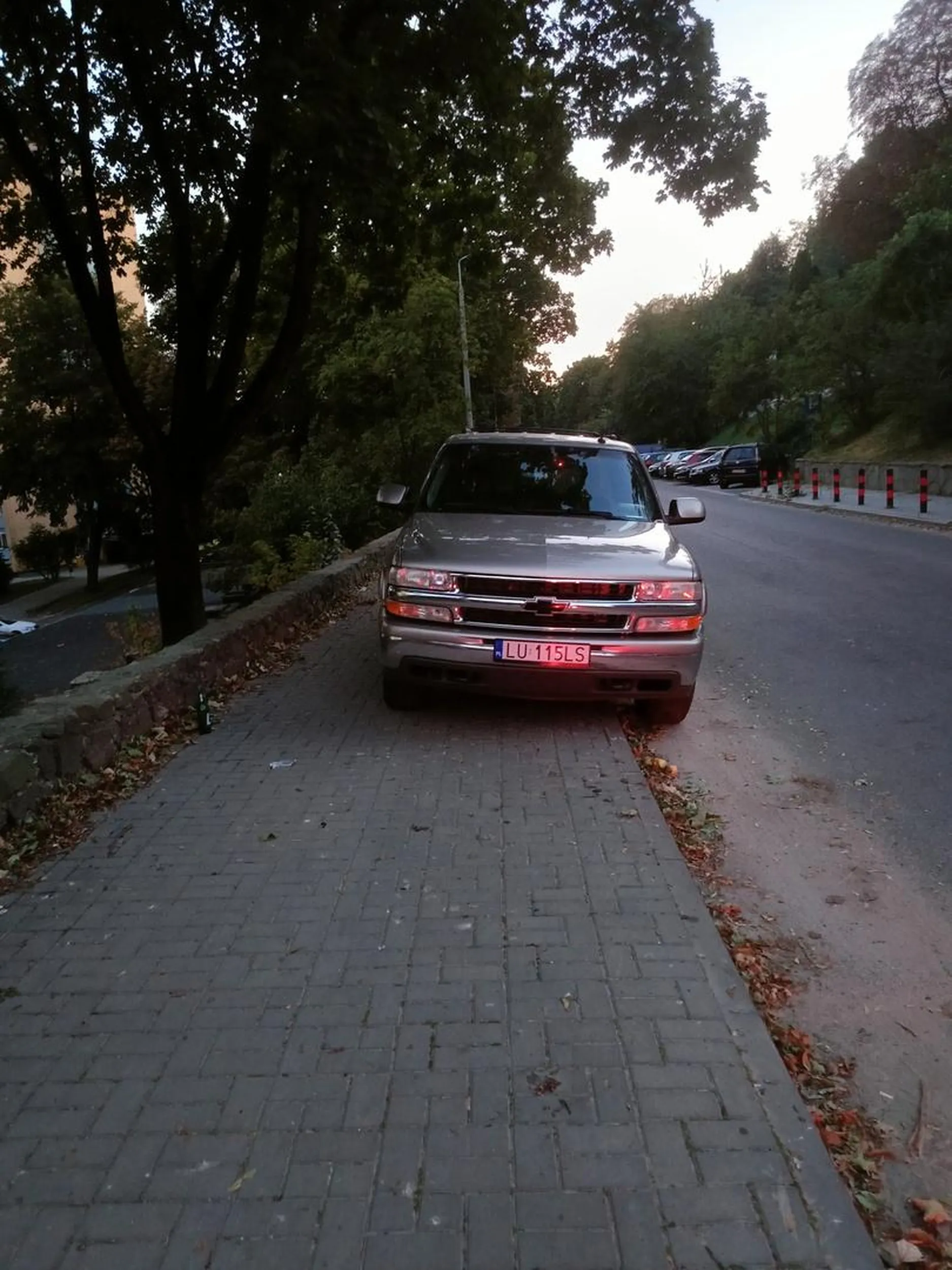 Było jeszcze mniejszy kawałek chodnika zostawić bezmyślny qtasie