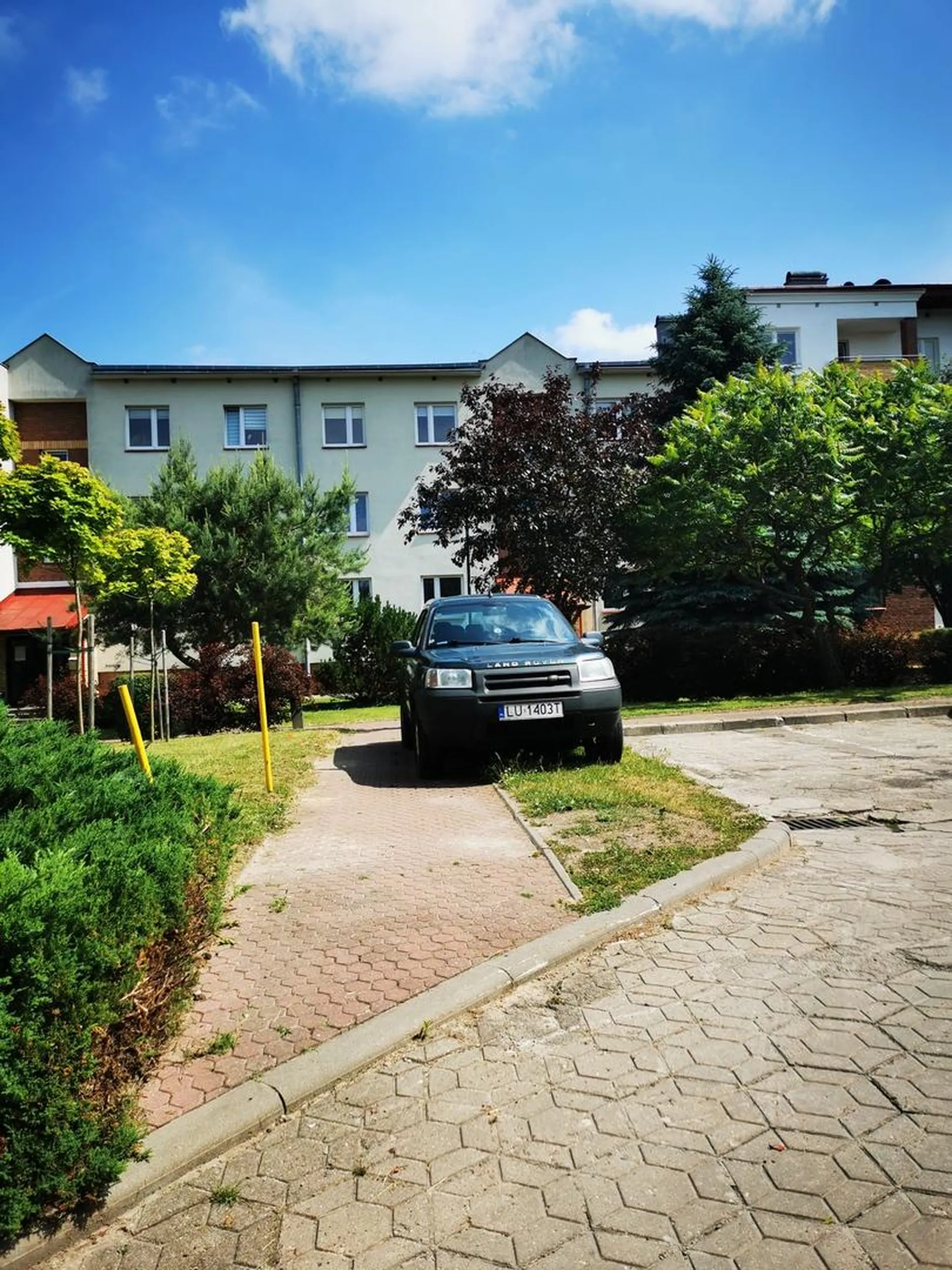 To chyba małpa zaparkowała