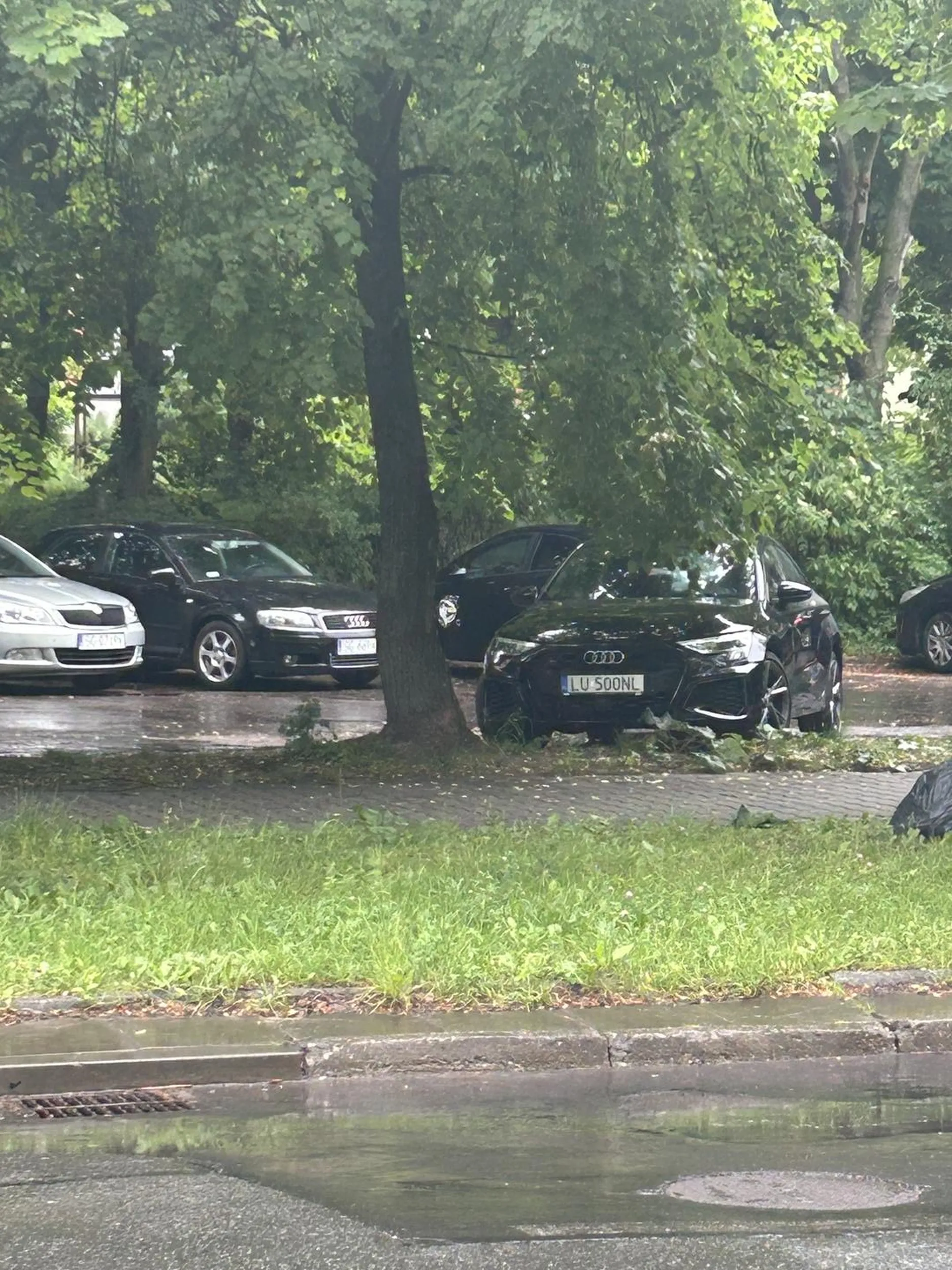 gratuluje mozgu, wszyscy potrafia sie dopasowac, a te burak wiecznie zaparkowac nie potrafi i marnuje kilka miejsc, mysli ze wozi sie audi i ma wiecej praw a prawo jazdy w chipsach lays wygral ;))))