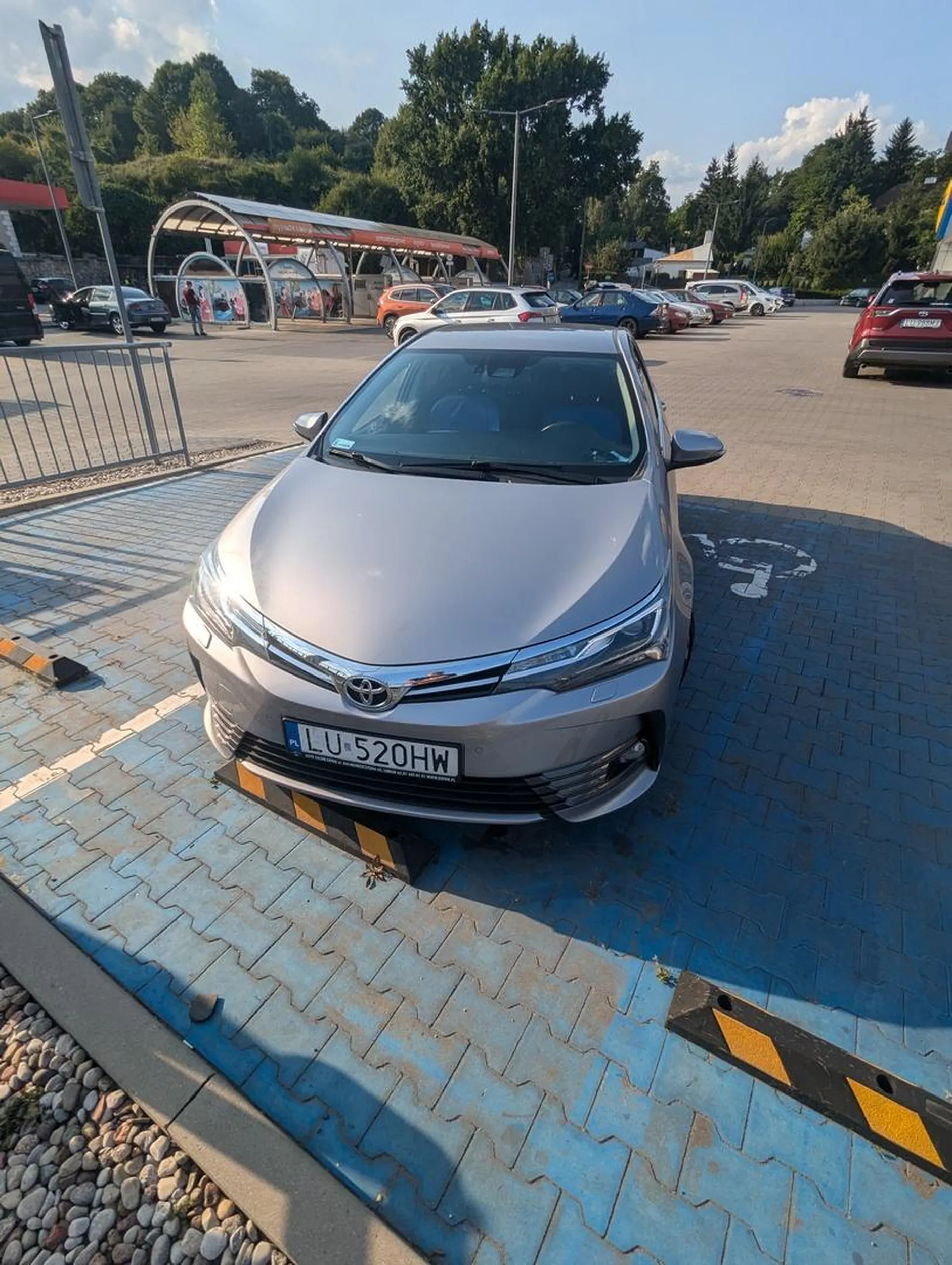 Niepełnosprawny umysłowo