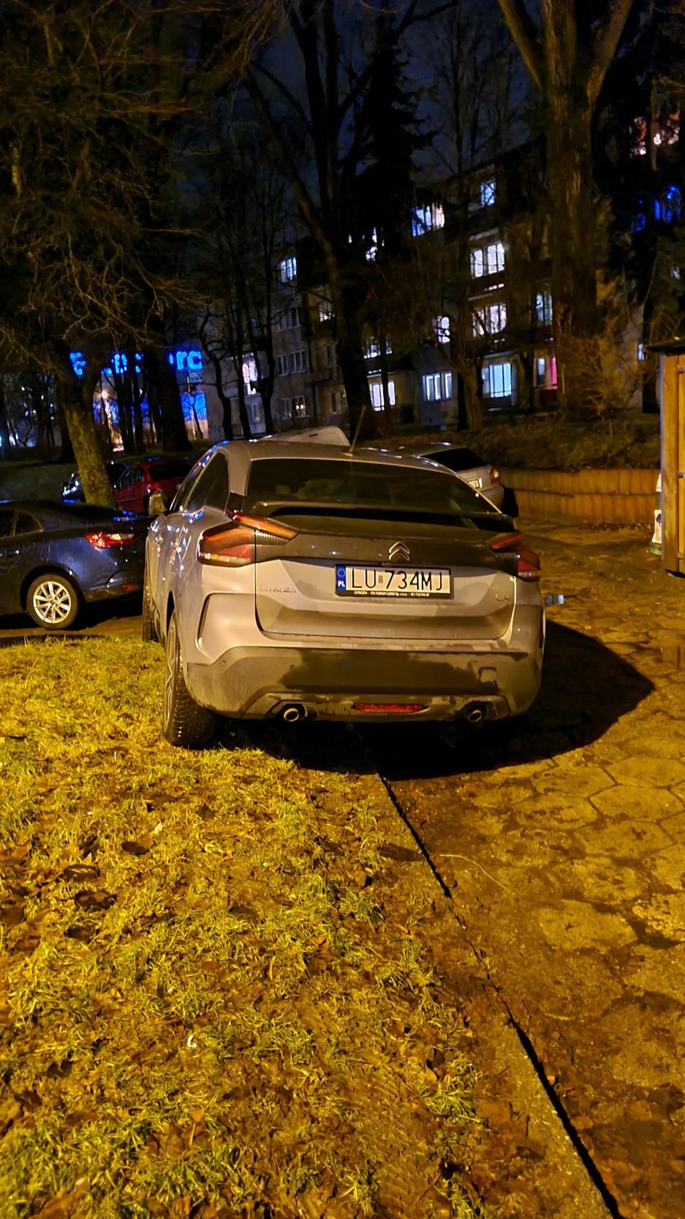 Parkuje na trawniku