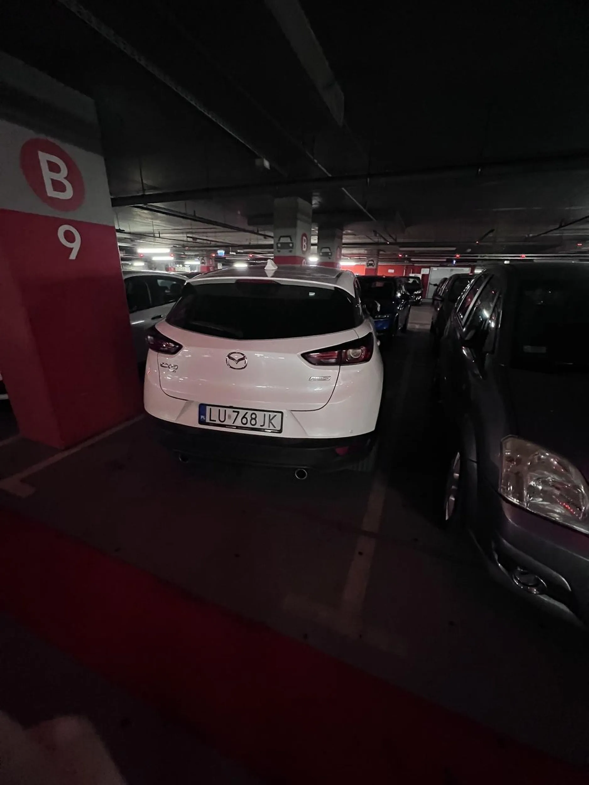 parkować sie moze naucz od nowa