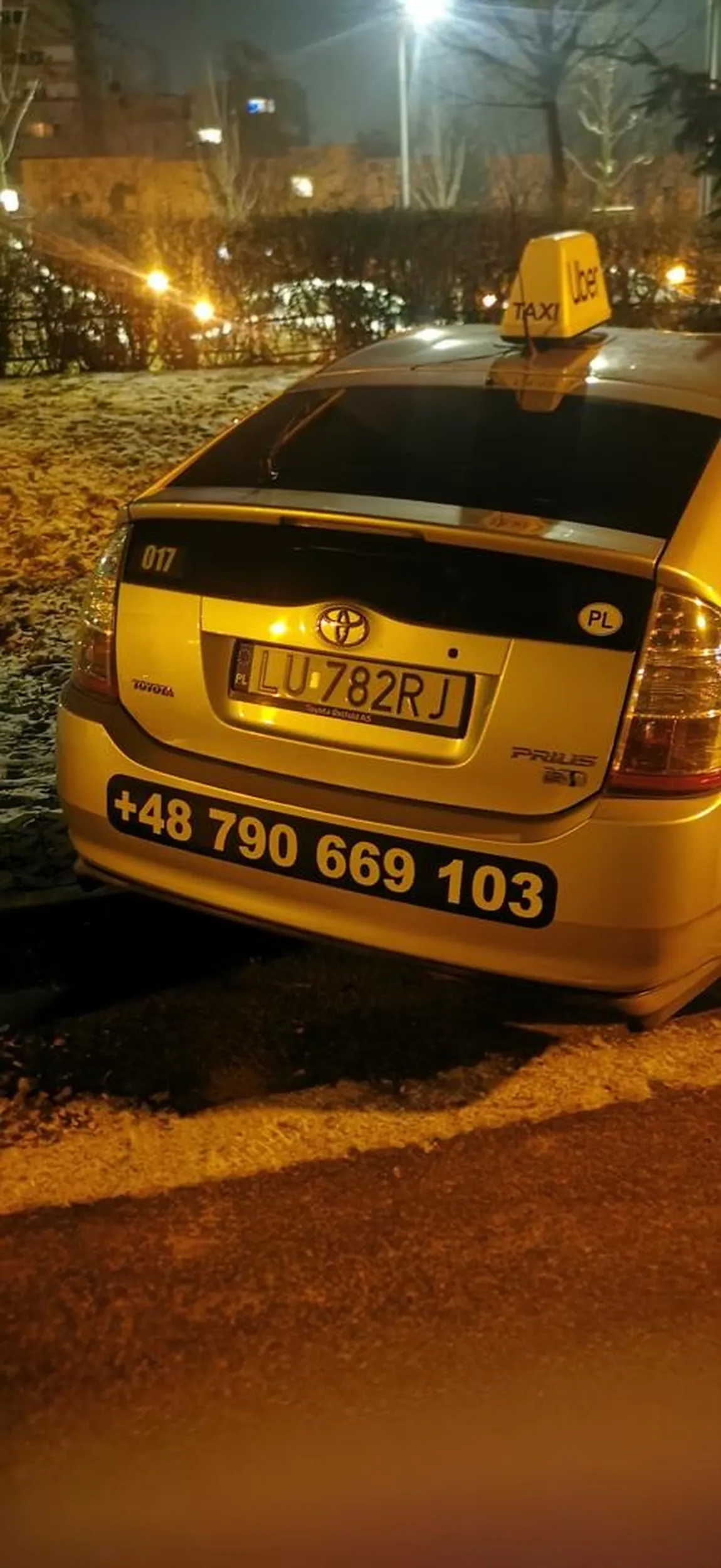 Mistrz parkowania, szkoda, że na trawniku.