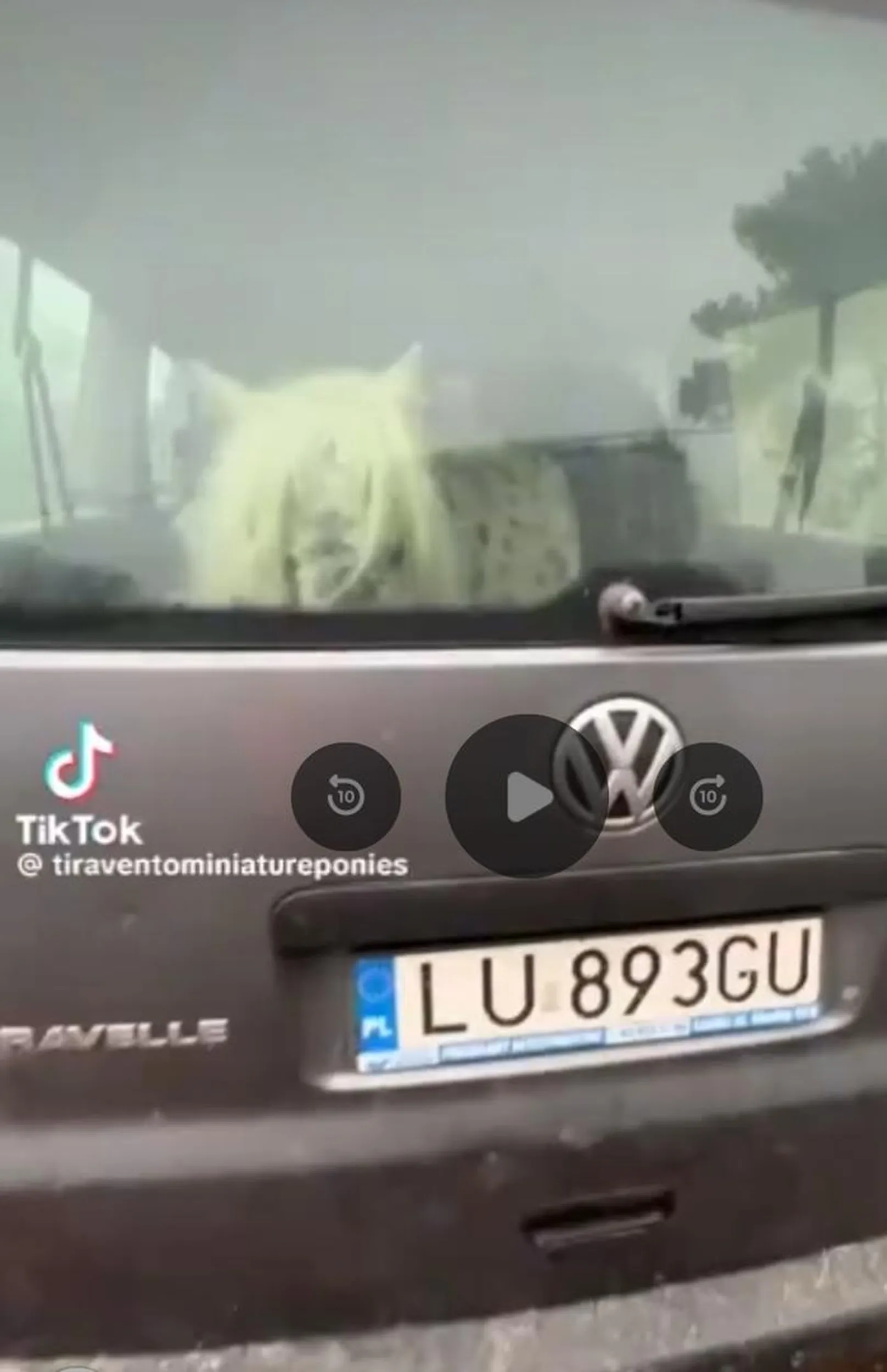 Myślę,że komentarz zbędny