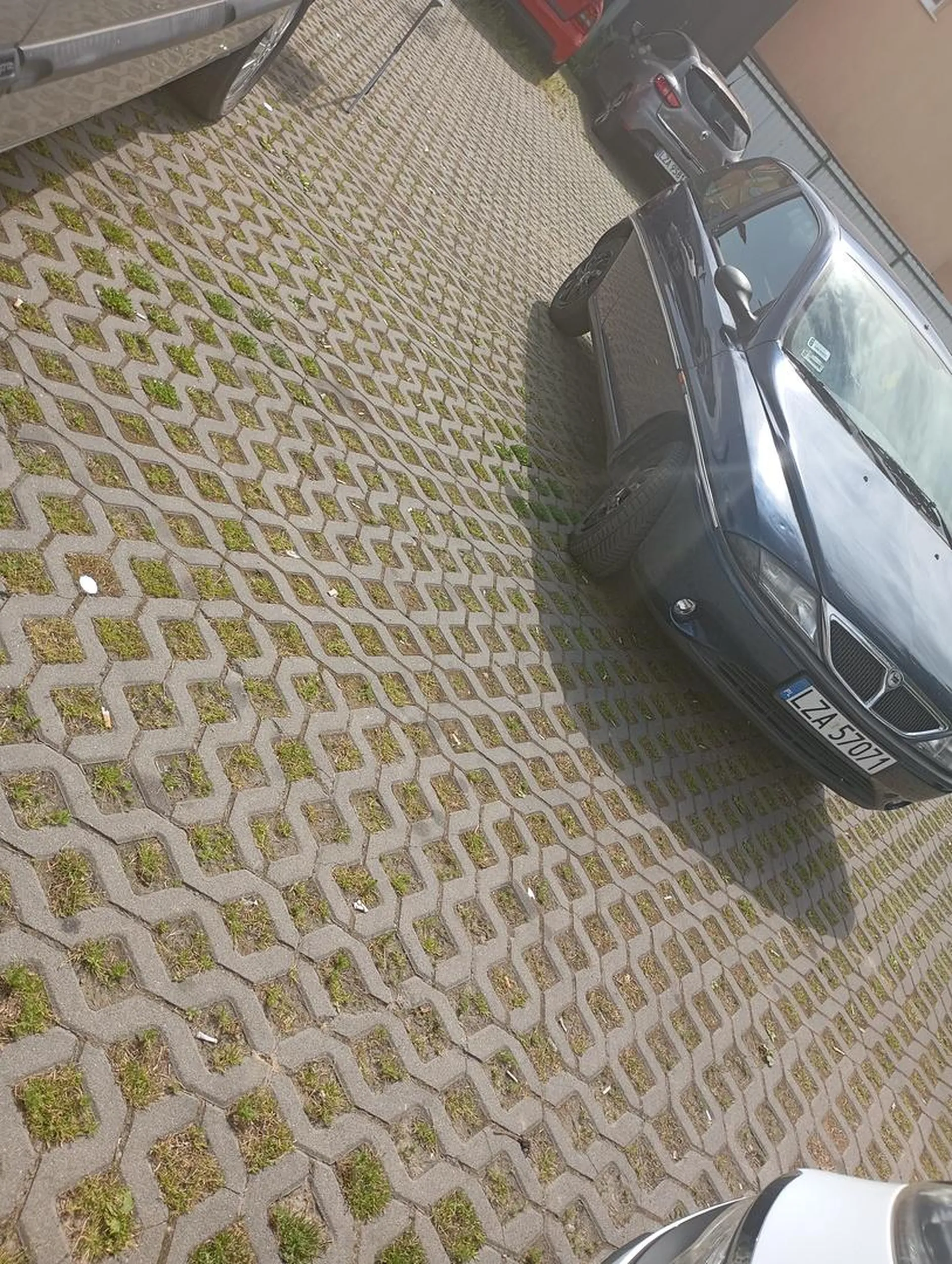 Dystans społeczny albo nie umiejętne parkowanie