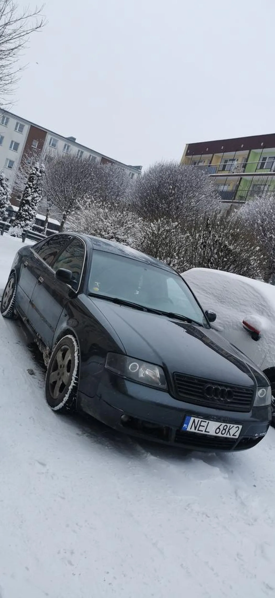 Piękna Audica A kierowca jeszcze piękniejszy ? 0000