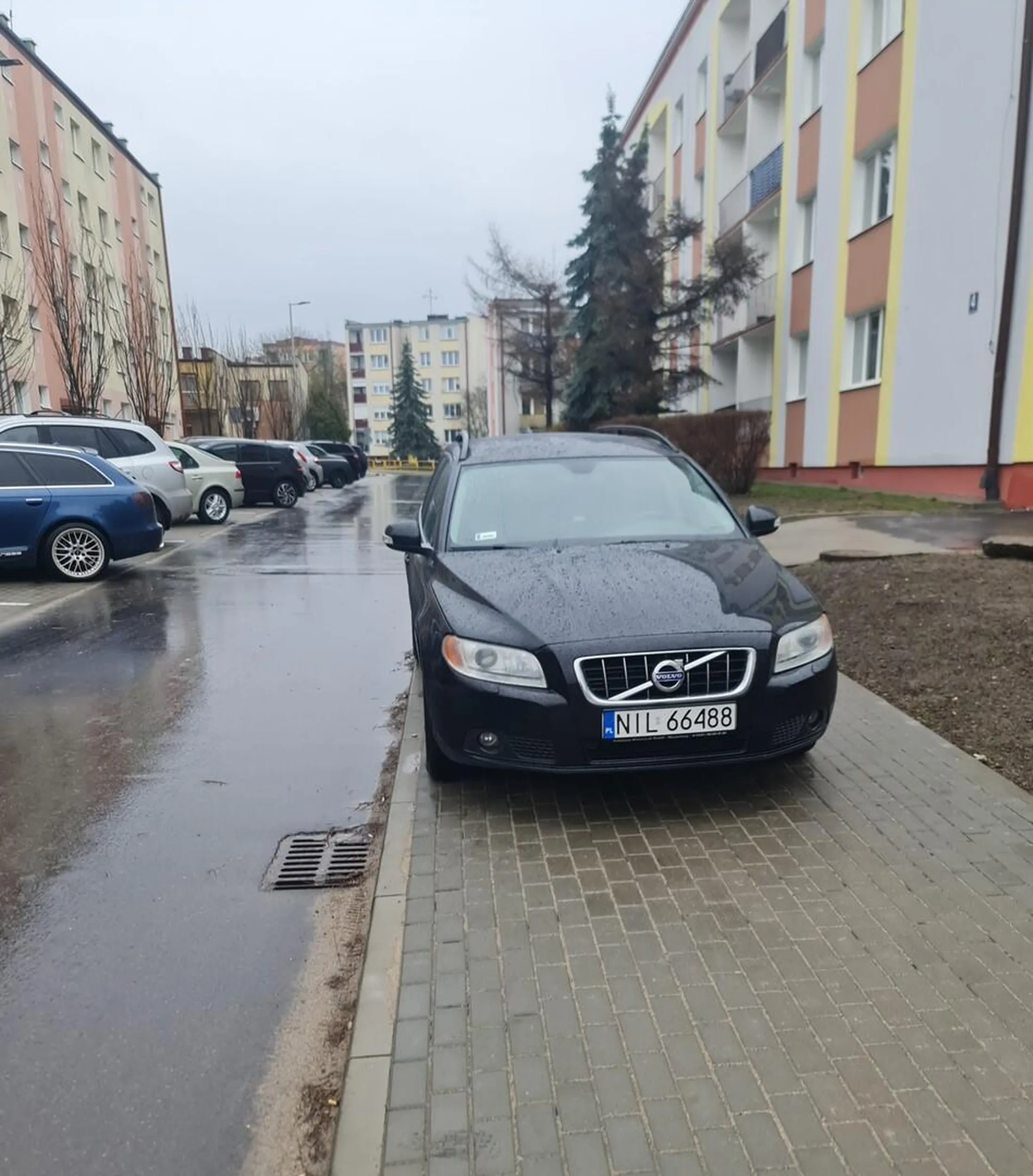 Jak widać na zdjęciu, inni bez problemu są w stanie zaparkować, ale właściciel Volvo prawo jazdy ma chyba z czipsów. Leniwe łajzy nie mogą się przejść tych 50m, tylko niszczą chodnik i blokują przejście pieszym. Tempić gnoja