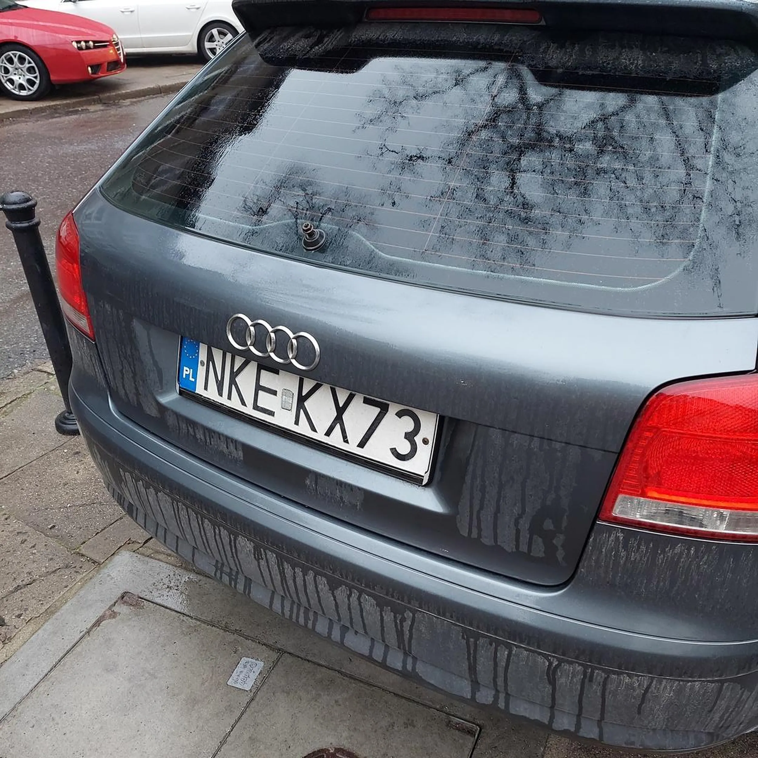 Baran z Kętrzyna ma gdzieś słupki i prawo...