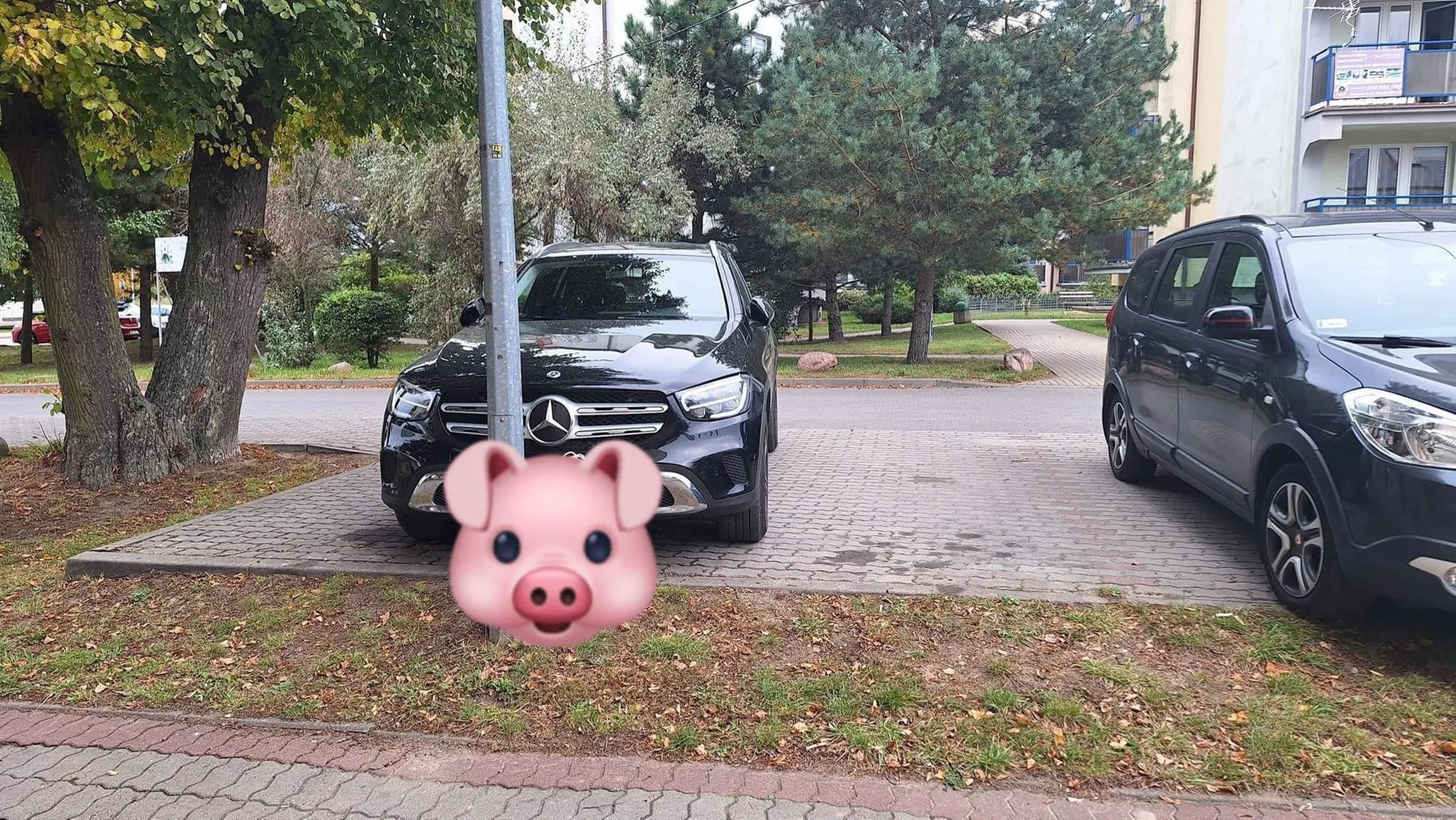 No przeeeeecież, jak się bujam mesiem za pół bańki to potrzebuję dwóch miejsc parkingowych. Szkoda, że nie mam wklejek z karnym k.....