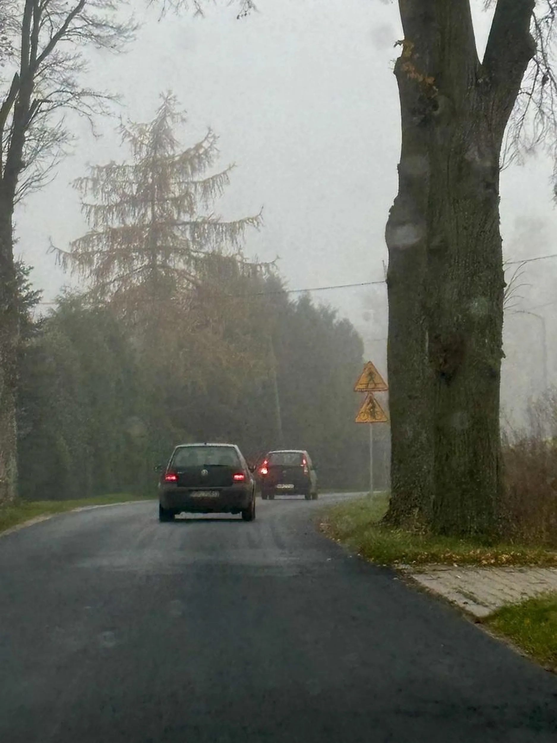 Kolego doczytaj warunki dopuszczalności używania tylnych świateł przeciwmgłowych.