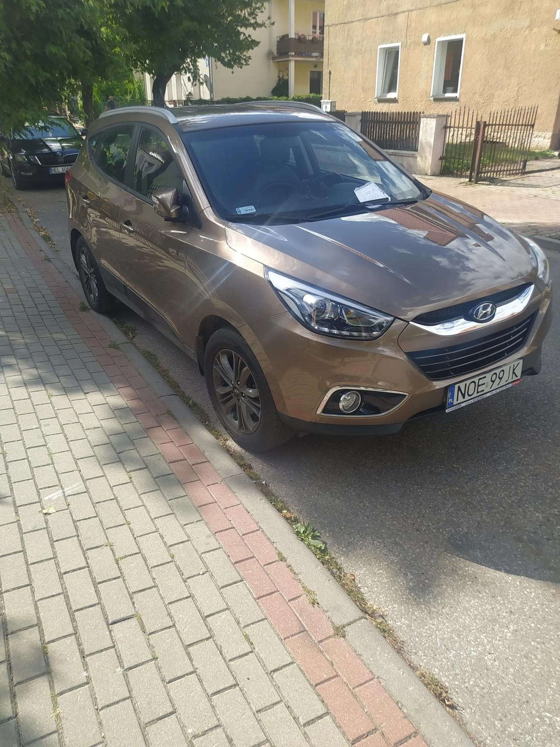 Zablokowany wjazd na posesję, policja zawiadomiona i wystawiony mandacik