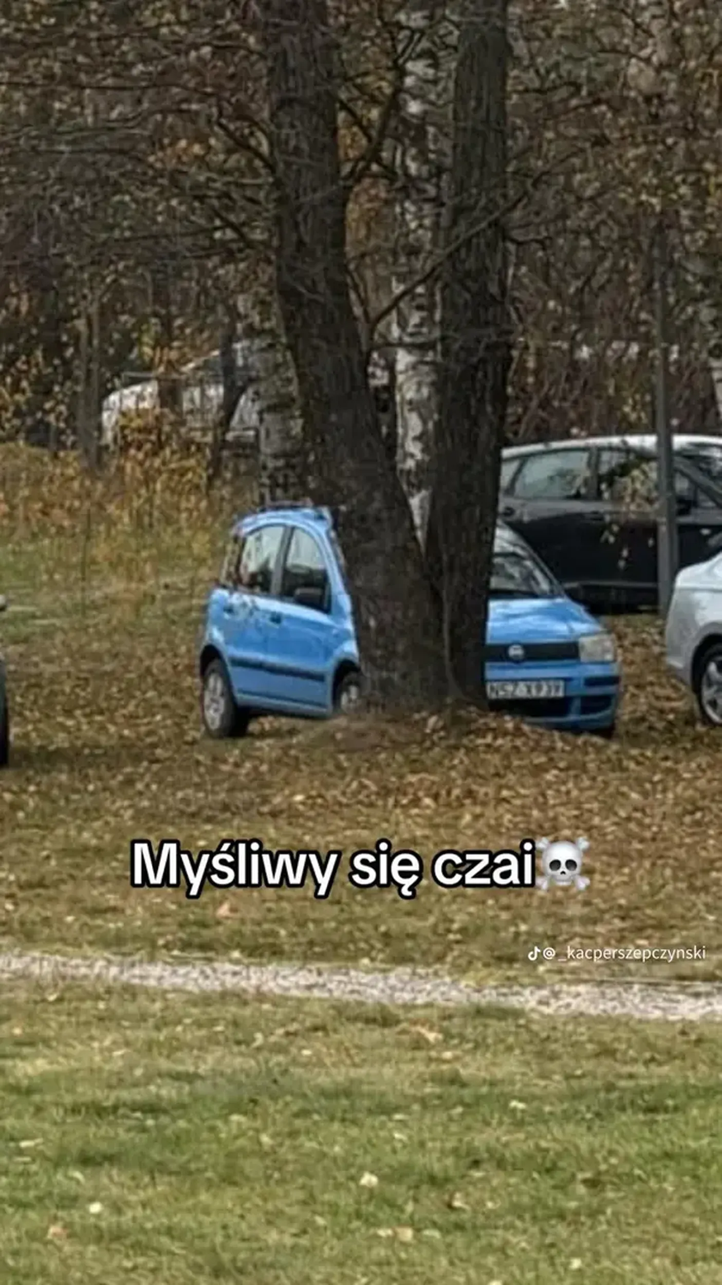 pojeb pirat drogowy, prawie potracil moje 10 miesieczne dziecko