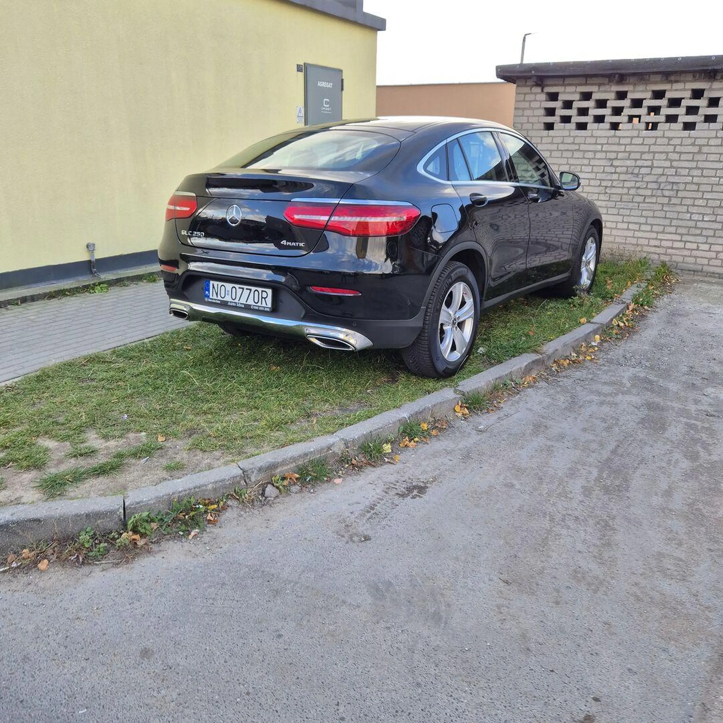 Olszty, Szpital Wojewódzki Krowa na trawie się pasie