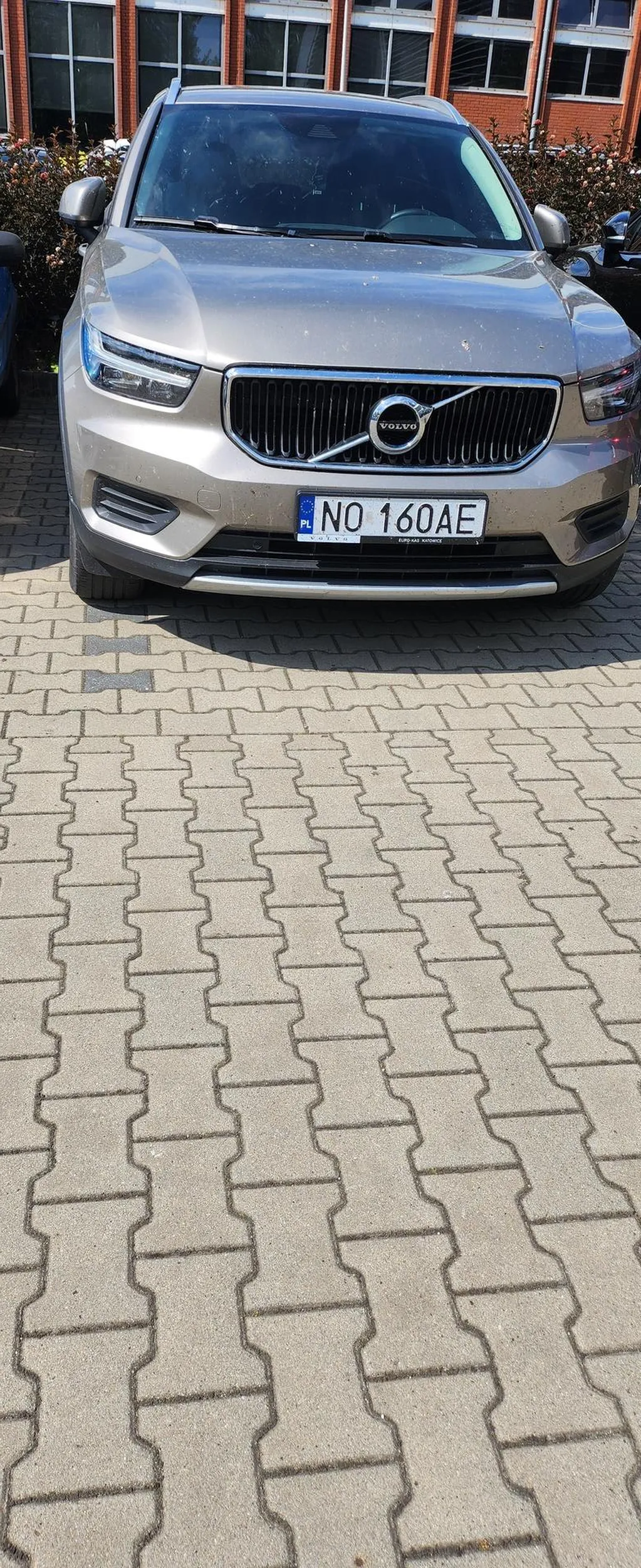 Naucz sie parkować stary fiucie