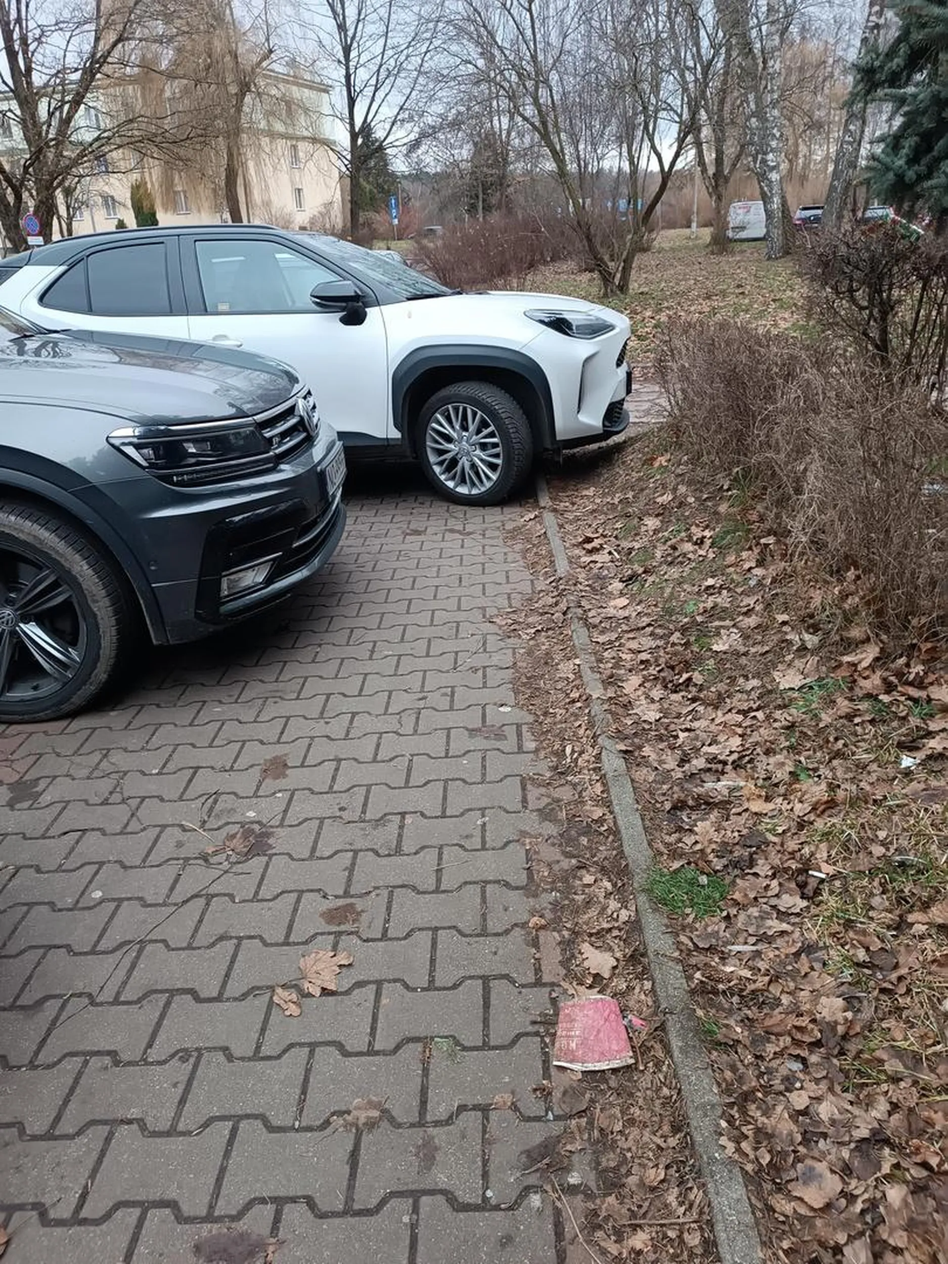 Ponieważ kierowniczka tego pojazdu spieszyła się do dentysty inni mogli sobie pokombinować z przejściem po chodniku.