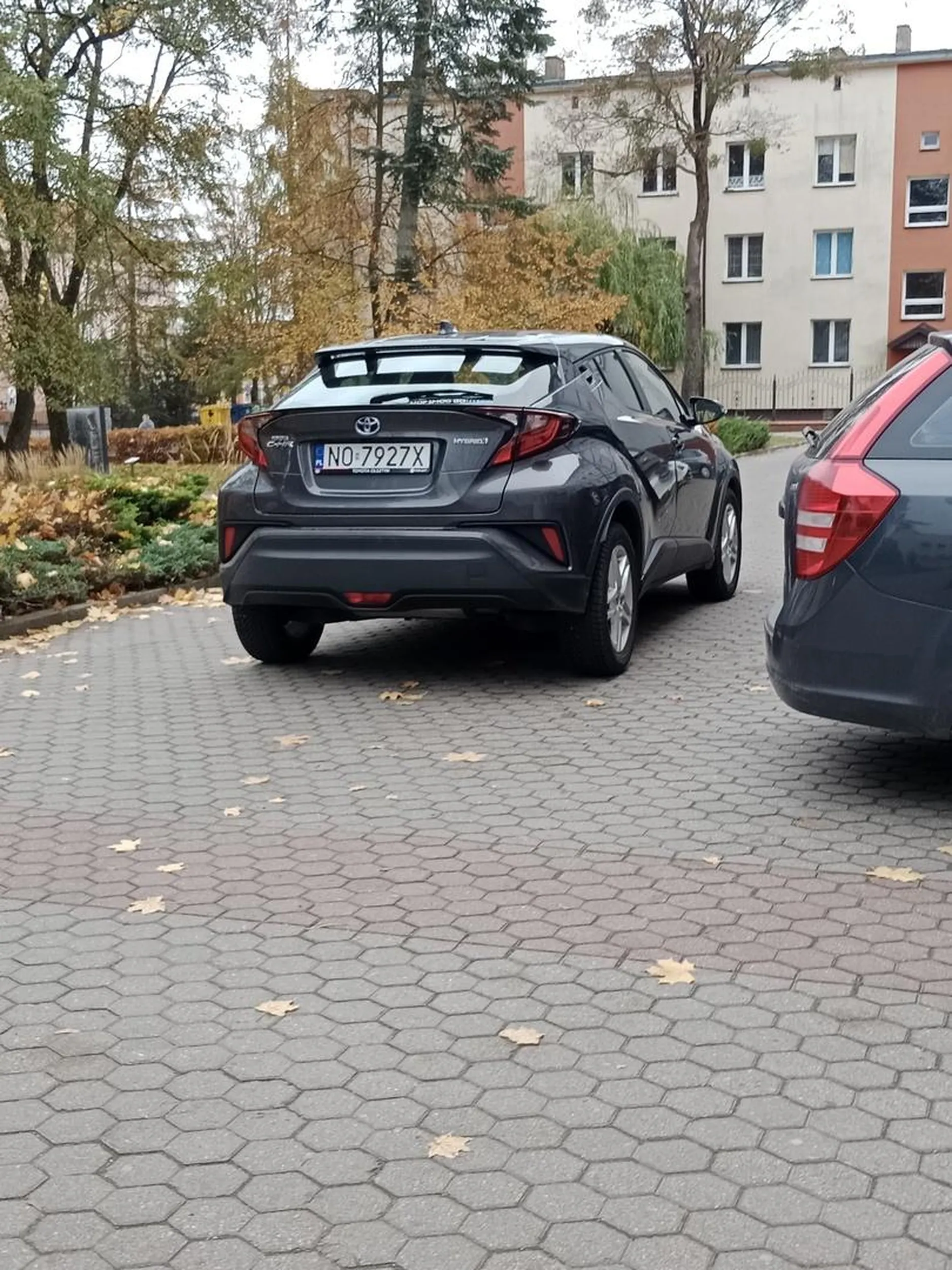 Bezczelnie zaparkował na przejeździe. Chamstwo