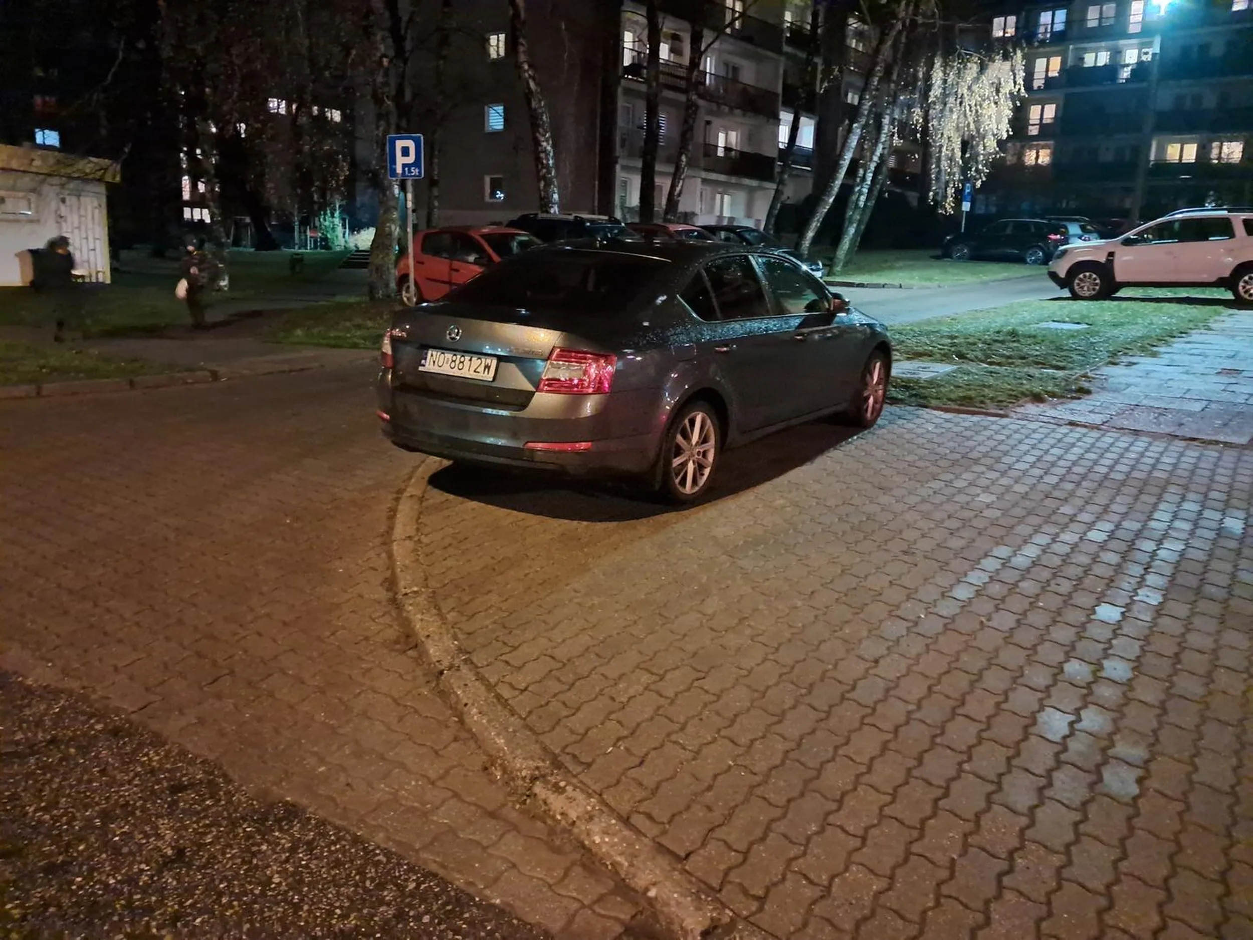 Ktoś nie rozumie, do czego służy chodnik.