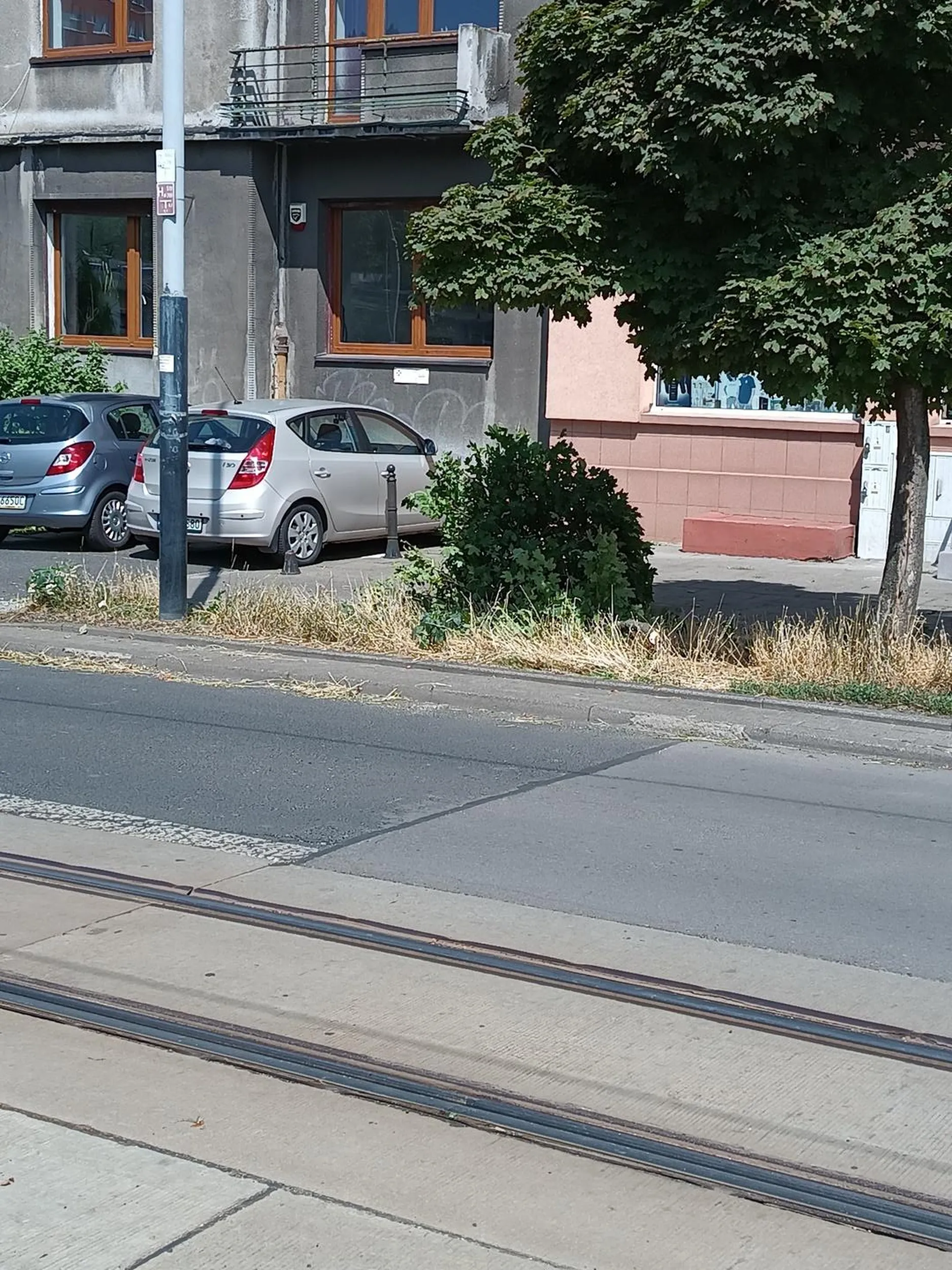 Chłopie, cofając drzewo połamałem na Narutowicza. Jest nagranie i sprawa będzie zgłoszona do odpowiednich służb