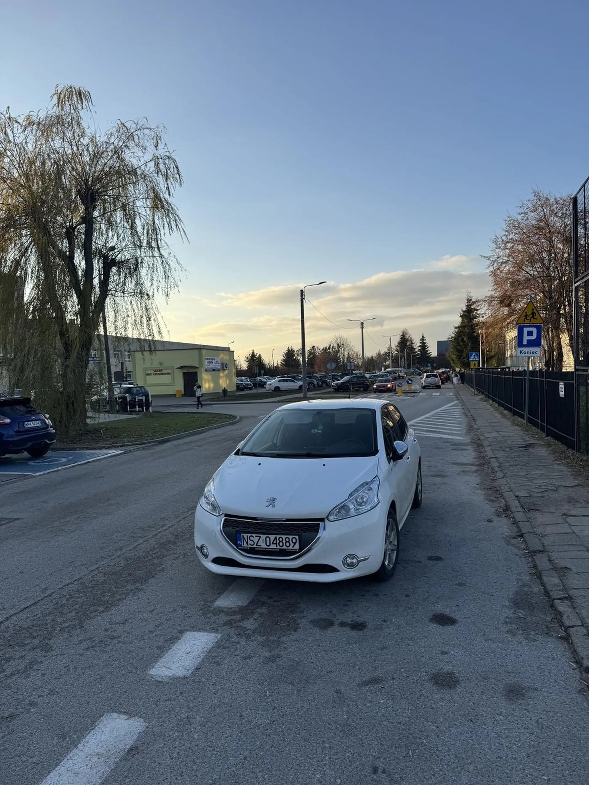 Mistrz parkingu myślę że można powtórzyć prawko
