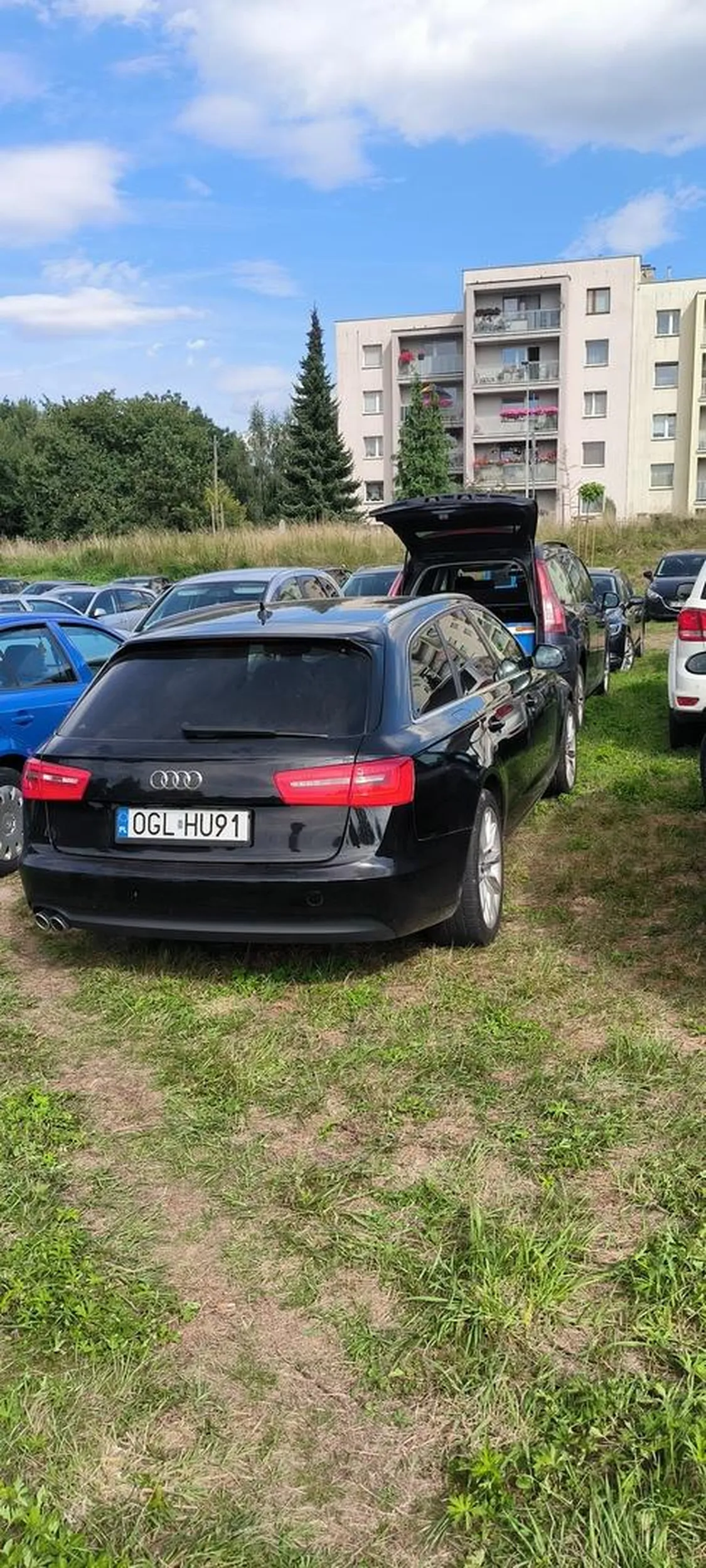 Zazdroszczę poziomu inteligencji kierowcy Audi