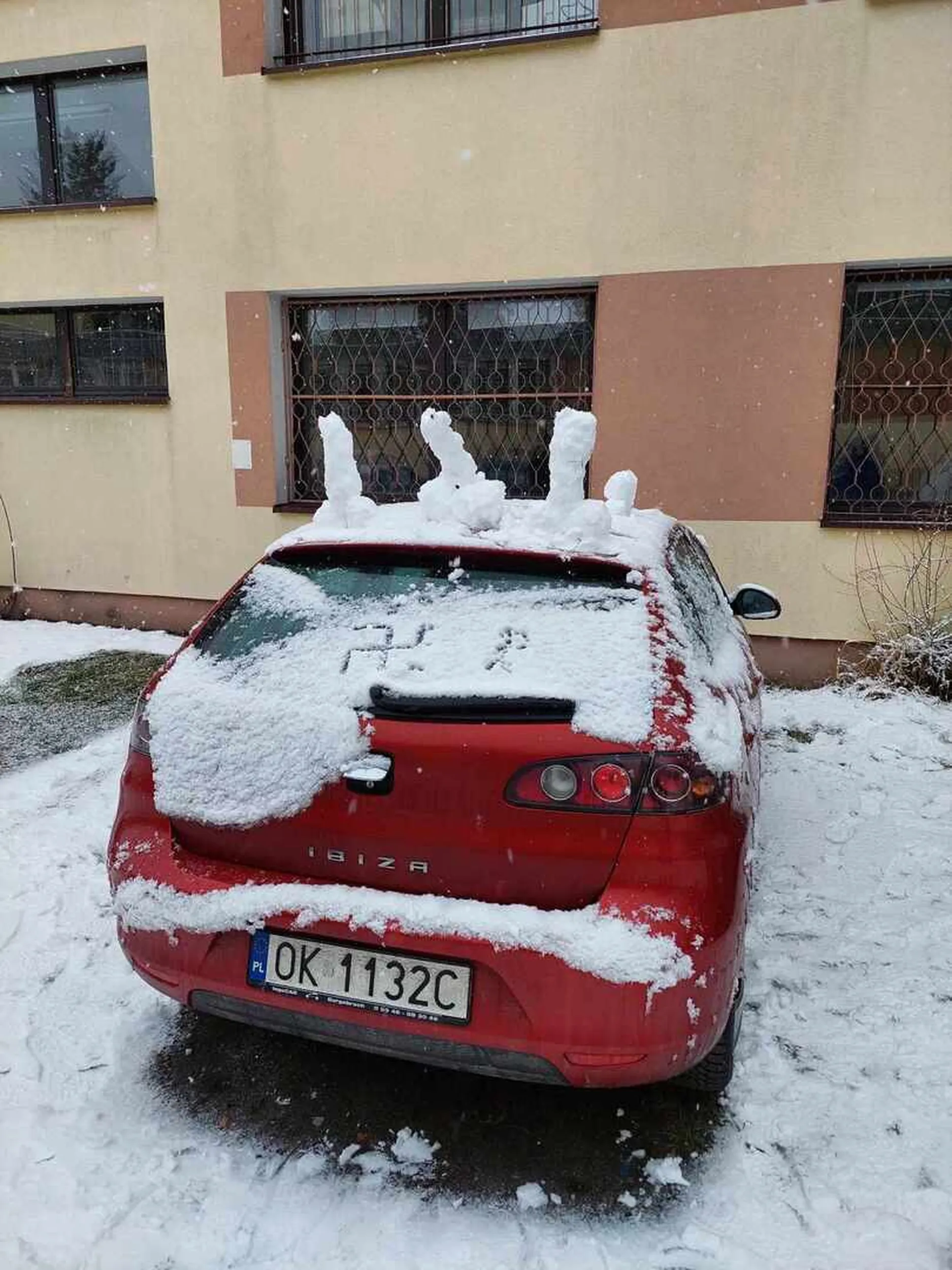 Fajne kutasy wariacie, nieźle się pod szkołą bawisz