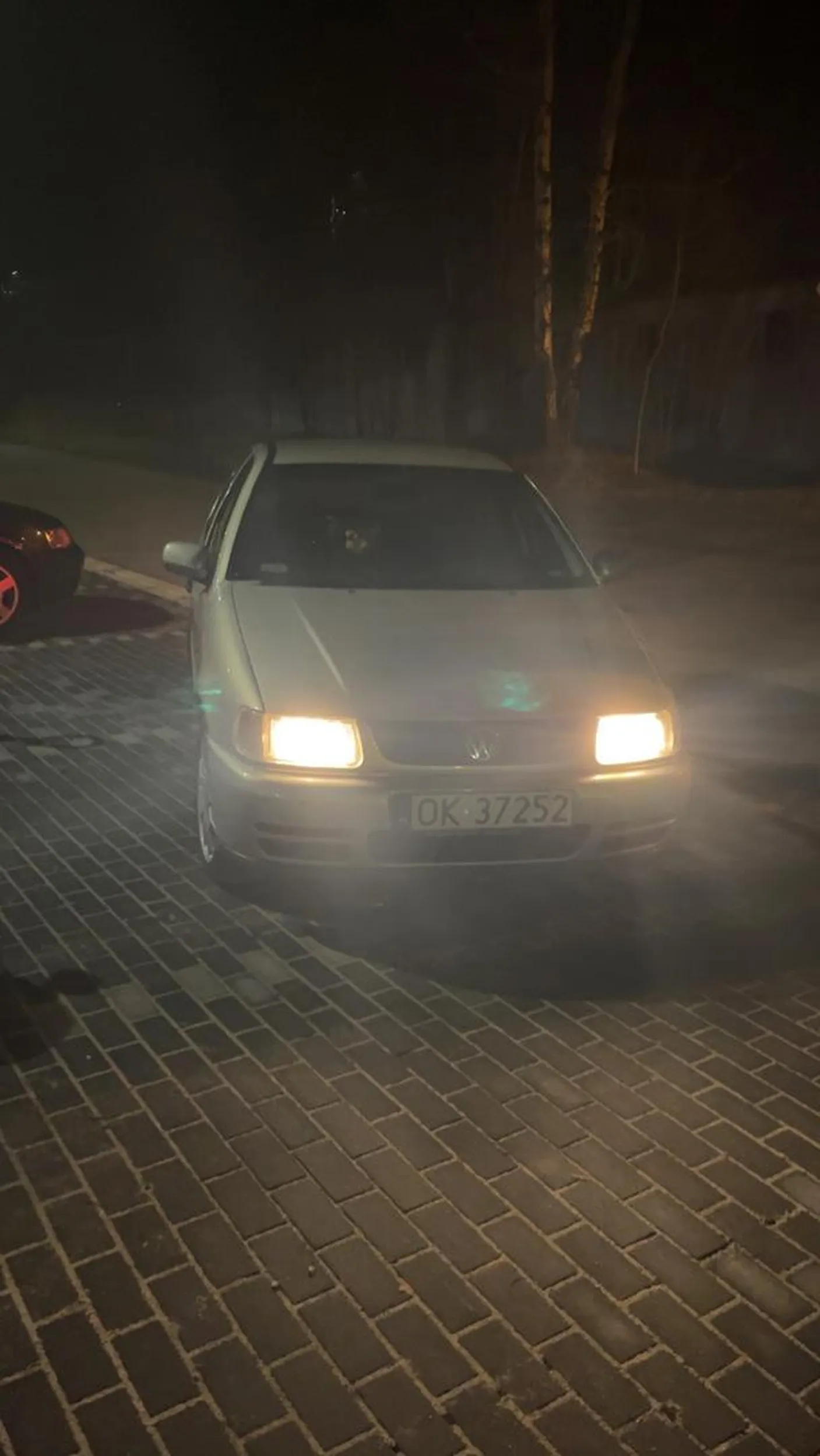 świnia terroryzuje wioski w nocy i nie potrafi parkowac (kierowca wyglada jakby mieszal bigos stopami podczas jazdy)