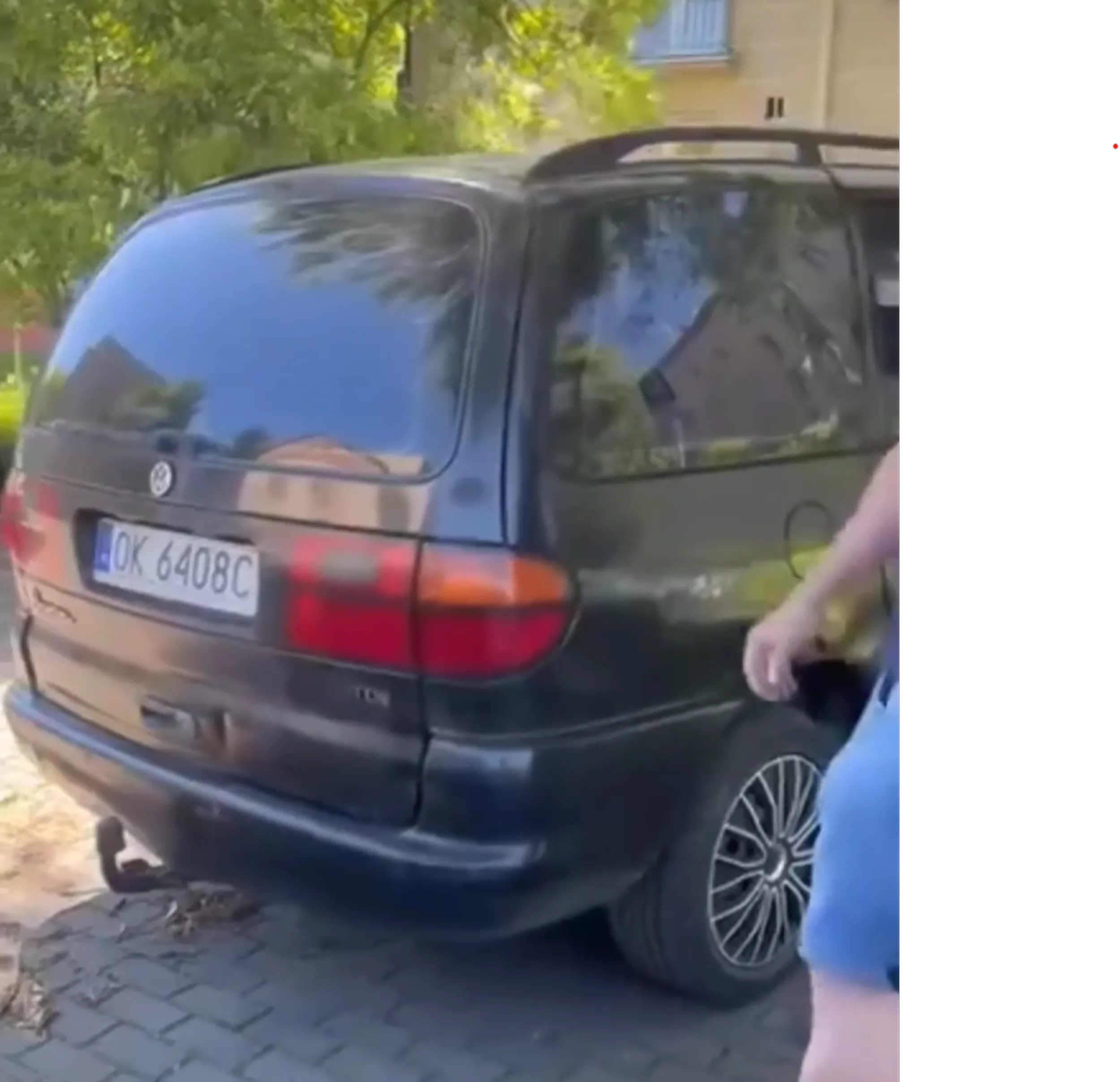 Jak można przestraszonego żywego jelenia wieść oraz trzymać na parkungu samotnego w aucie jeszcze przykrytego kocami