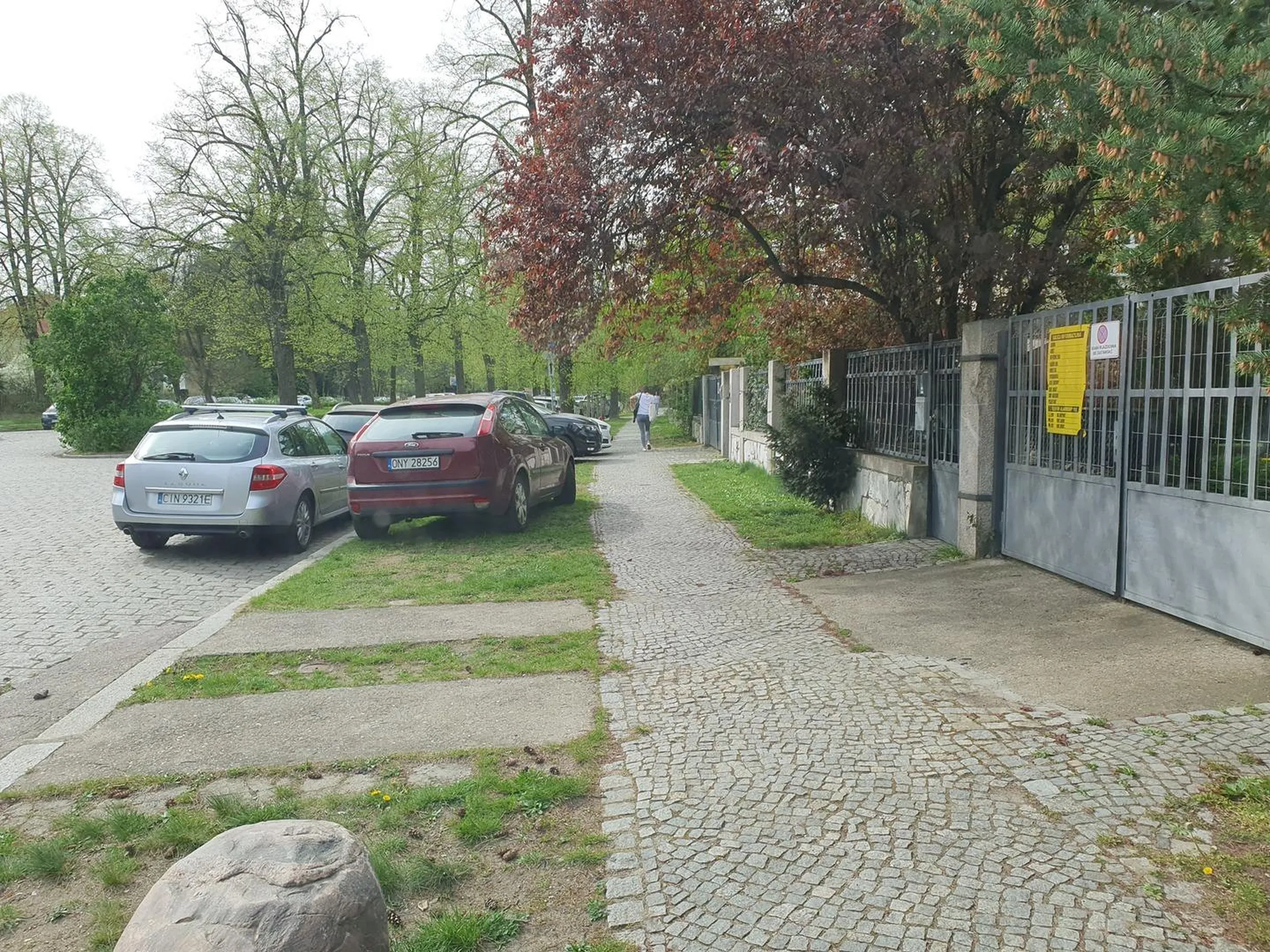 Półmózg. Myli trawniki w miejscami postojowymi.