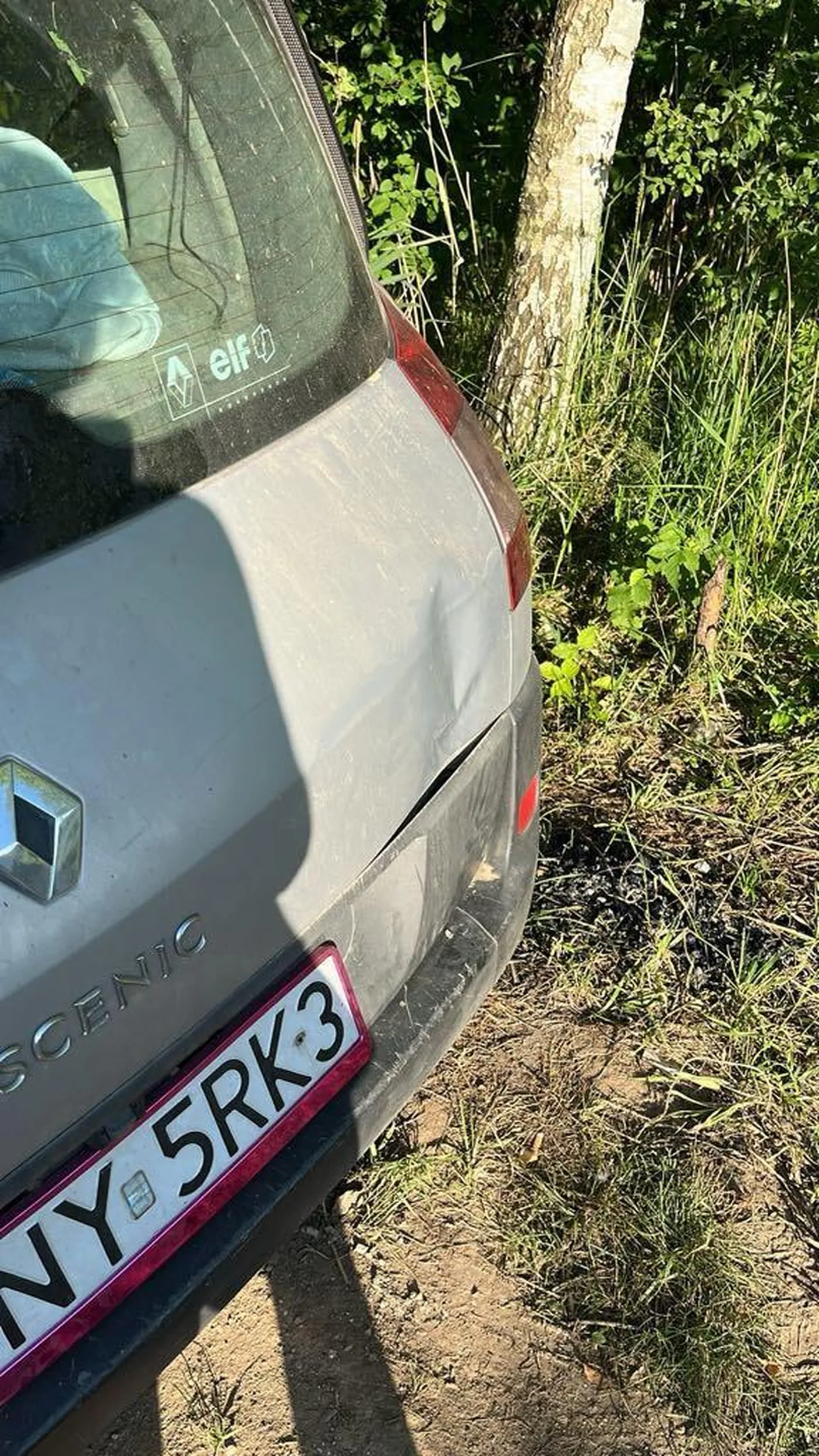 Porysowała mi drzewo dnia 20.06.2024  polecam uważać bo nie znasz dnia i godziny kiedy ci teściowa pierdolnieeeee