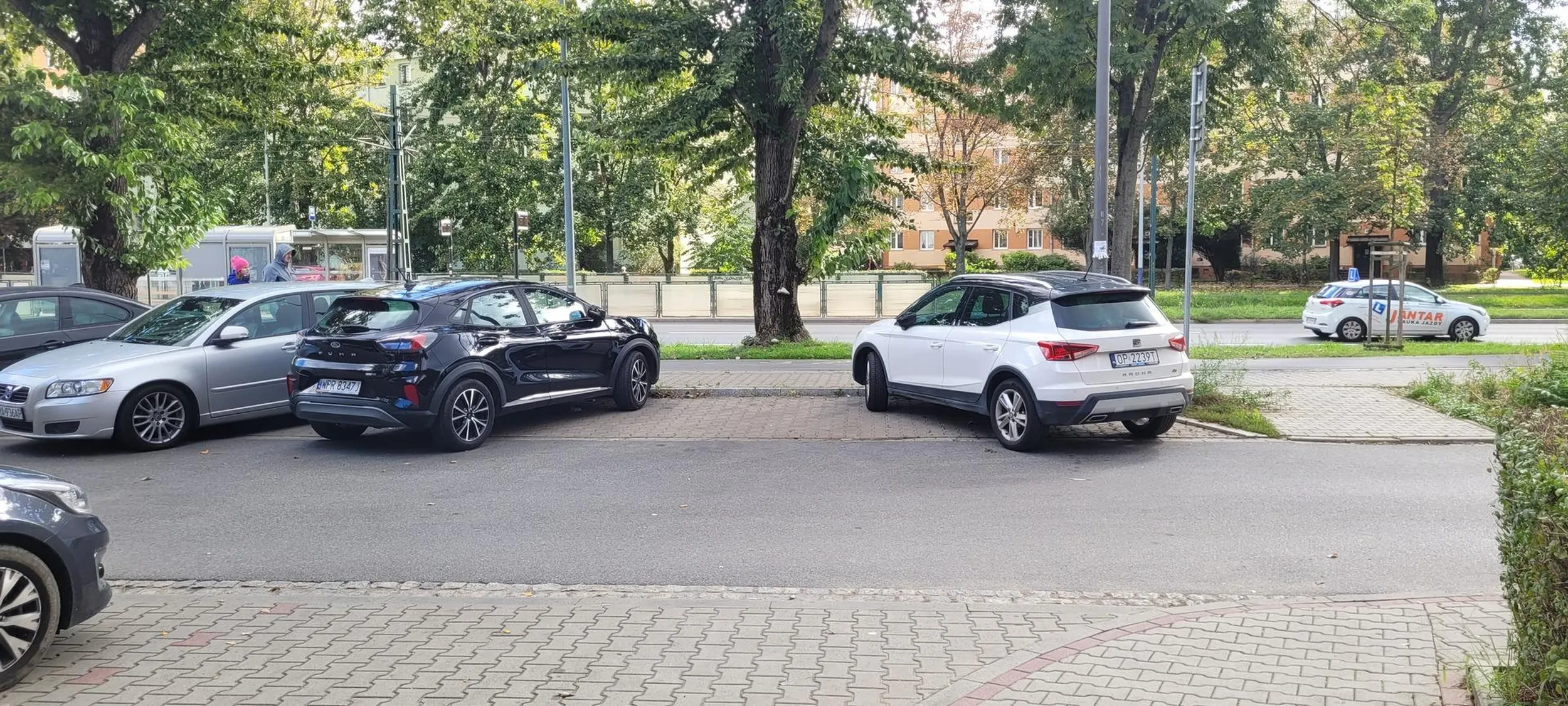 Parkowanie skośne trudna sztuka. Czemu wszyscy mają parkować tak samo?  Ten kierowca jest indywidualistą.