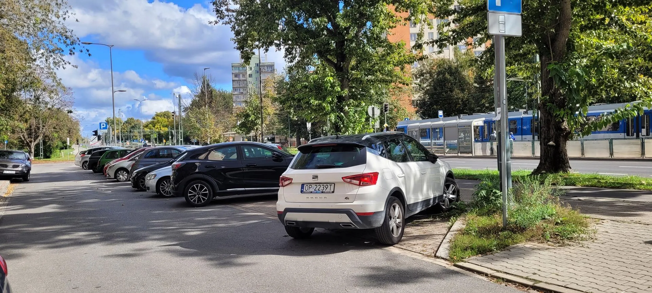 Parkowanie skośne trudna sztuka. Czemu wszyscy mają parkować tak samo?  Ten kierowca jest indywidualistą.