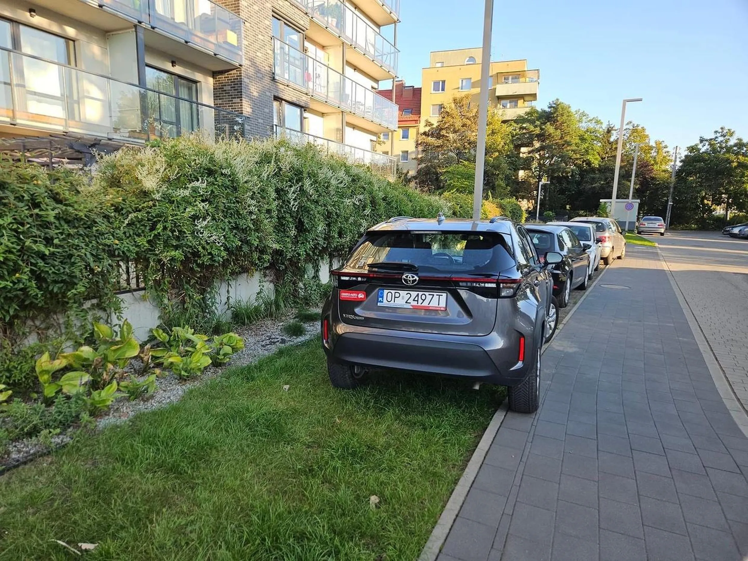 Dureń który parkuje na trawniku