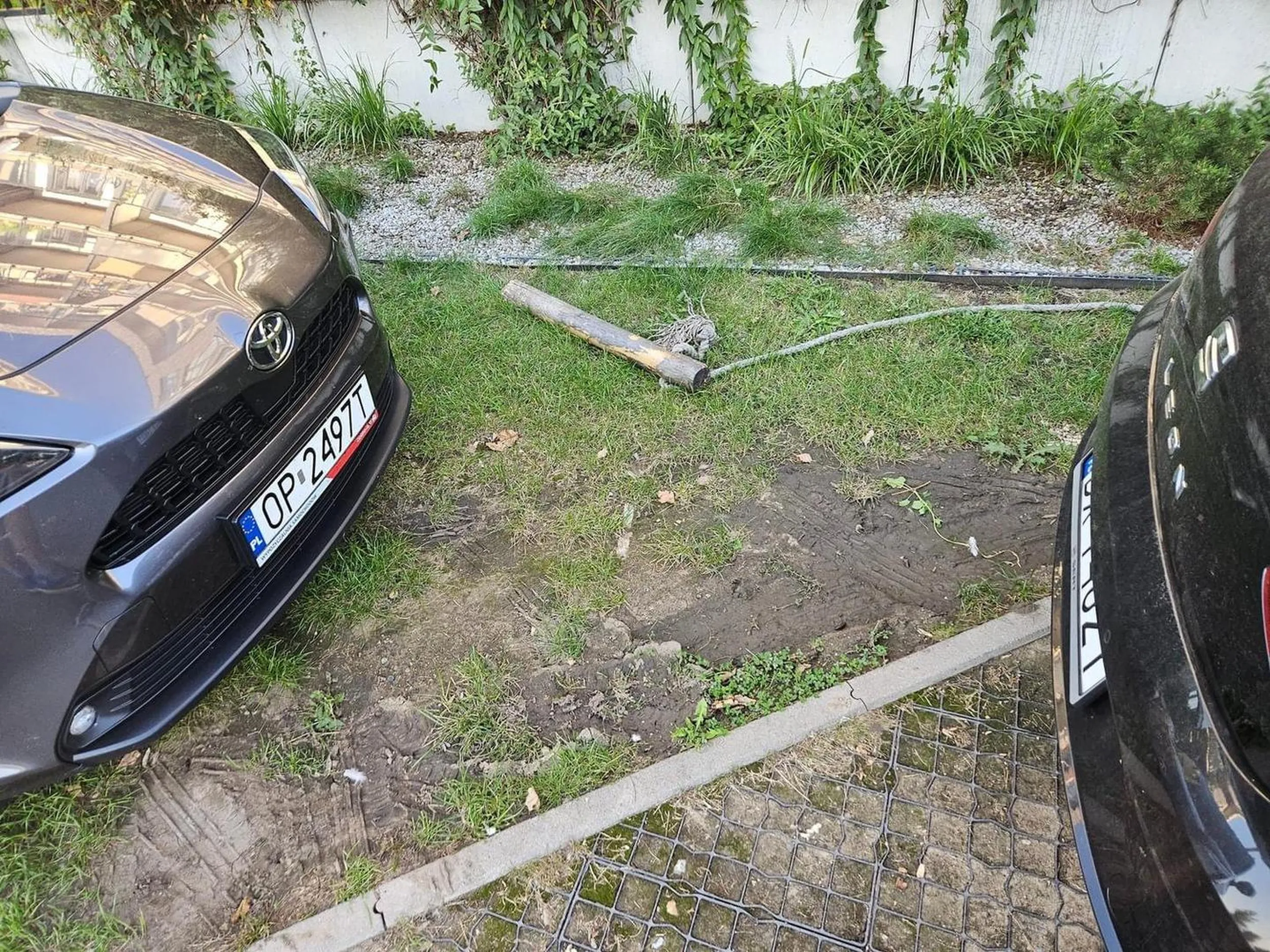 Dureń który parkuje na trawniku
