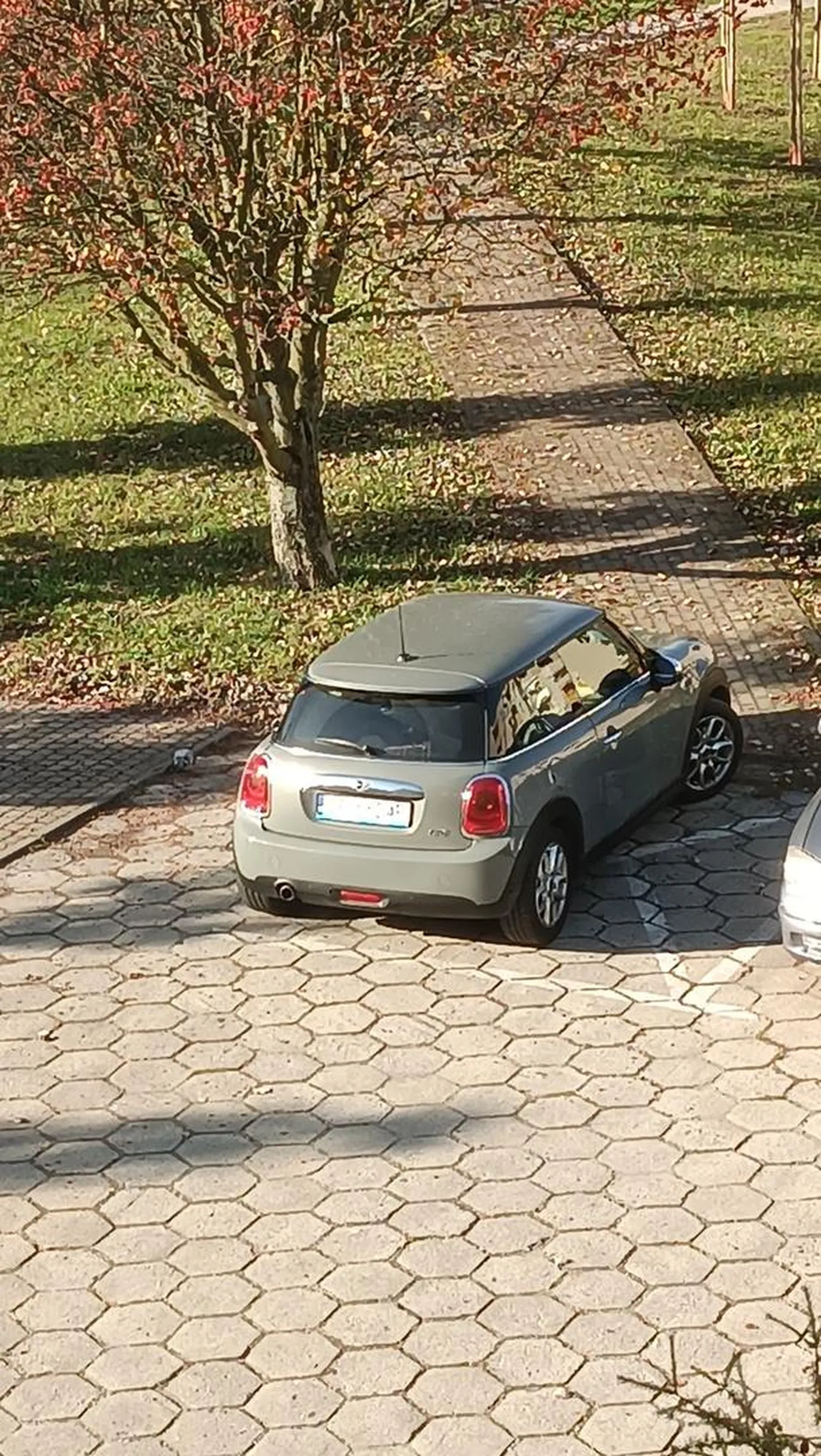 Trzeba być idiotą by tak bardzo chcieć udowodnić, że się nie potrafi parkować ?