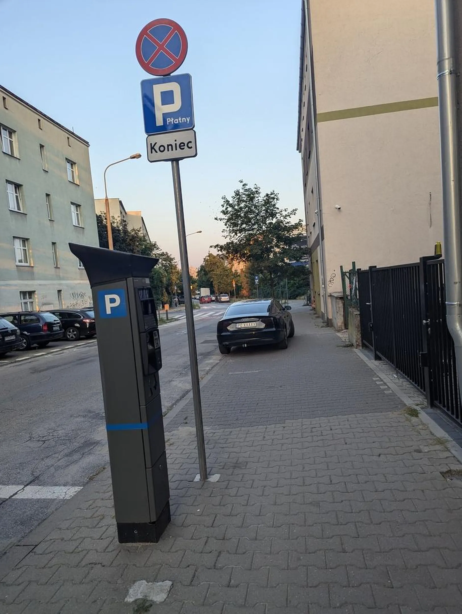 6 miejsc wolnych na parkingu, dosłownie 20m dalej. Ale ch*j tam, stane se na chodniku zaraz przed pasami i skrzyżowaniem, a do tego w bramie.