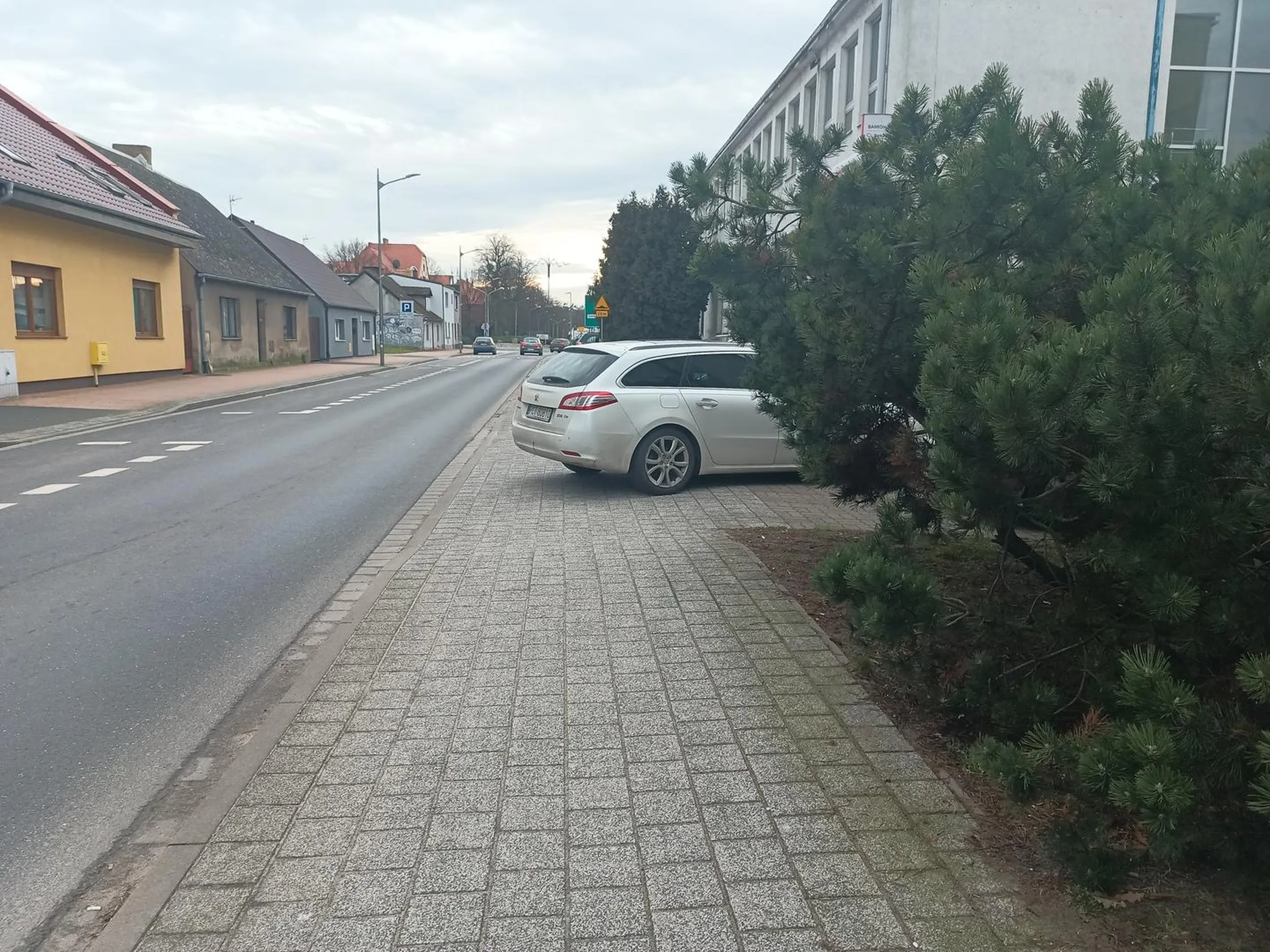 Pani się chyba nie uczy na błędach