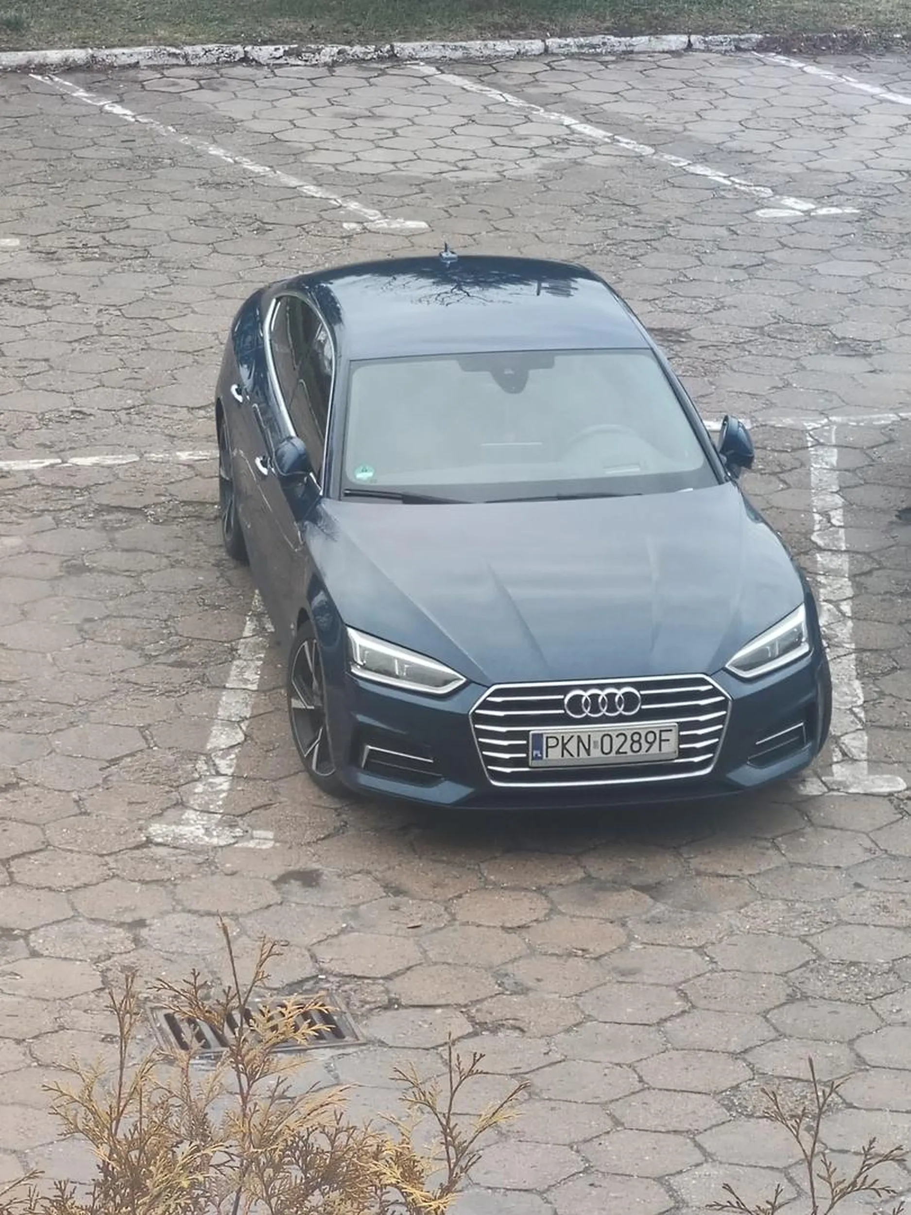 No nie nauczyli parkowania...