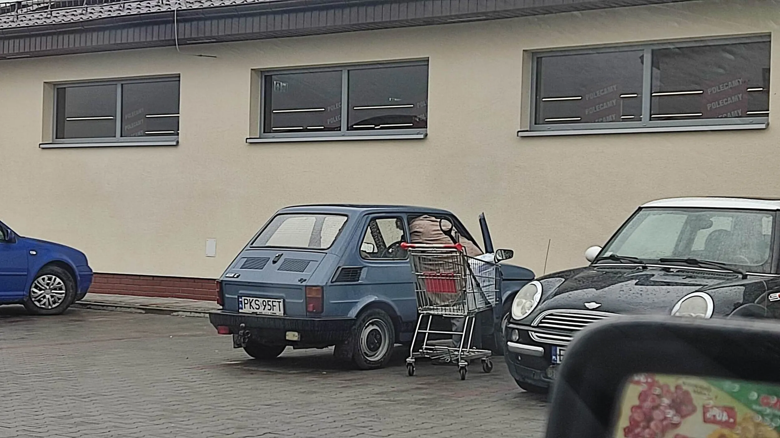 Piękny maluch w kolorze ZOMO