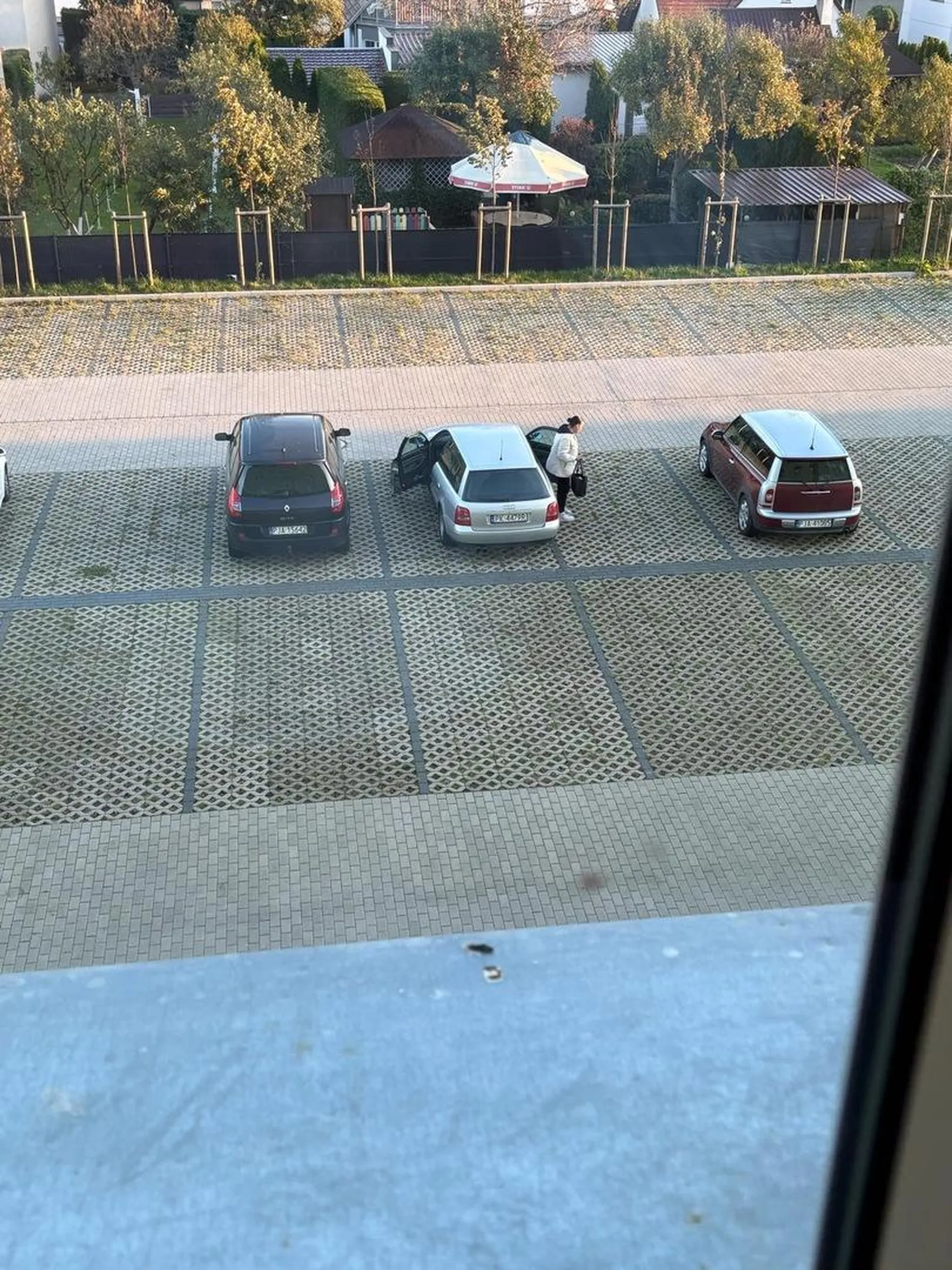 Niech się nauczy parkować, prawko z paczki laysów