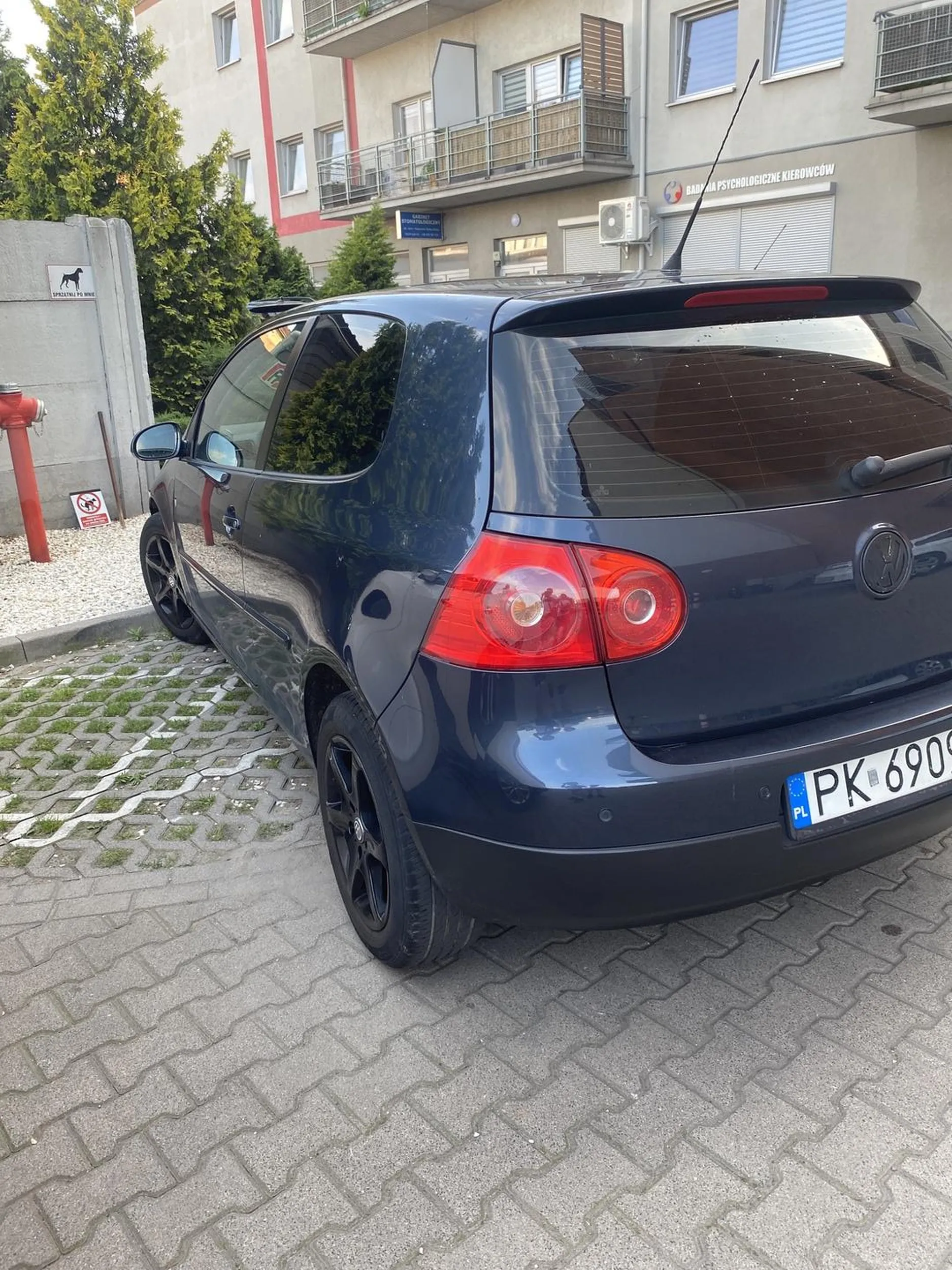 Miszczu normalnie ✨MISZCZU✨