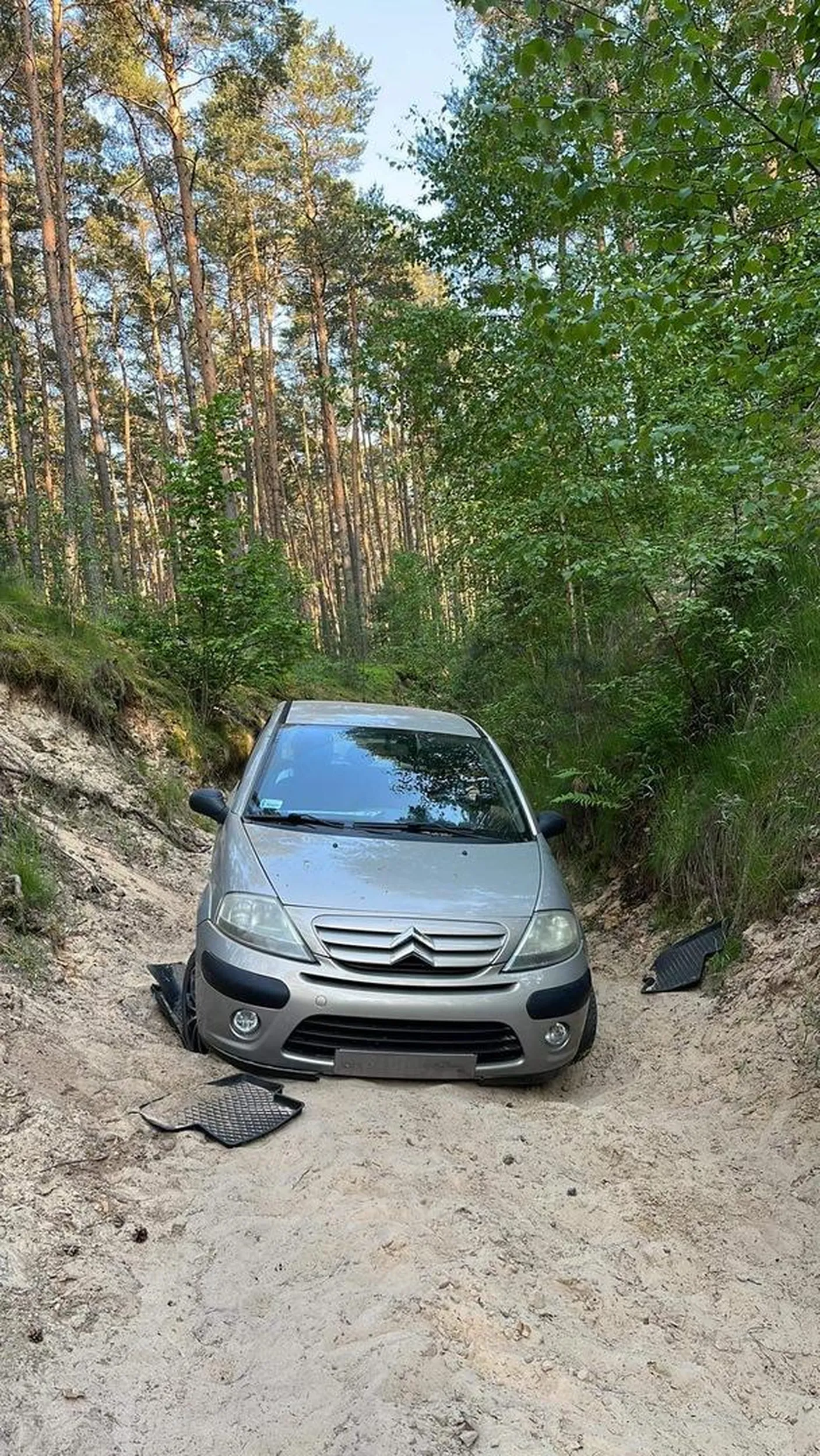 Po prywatnych lasach się nie jeździ ?