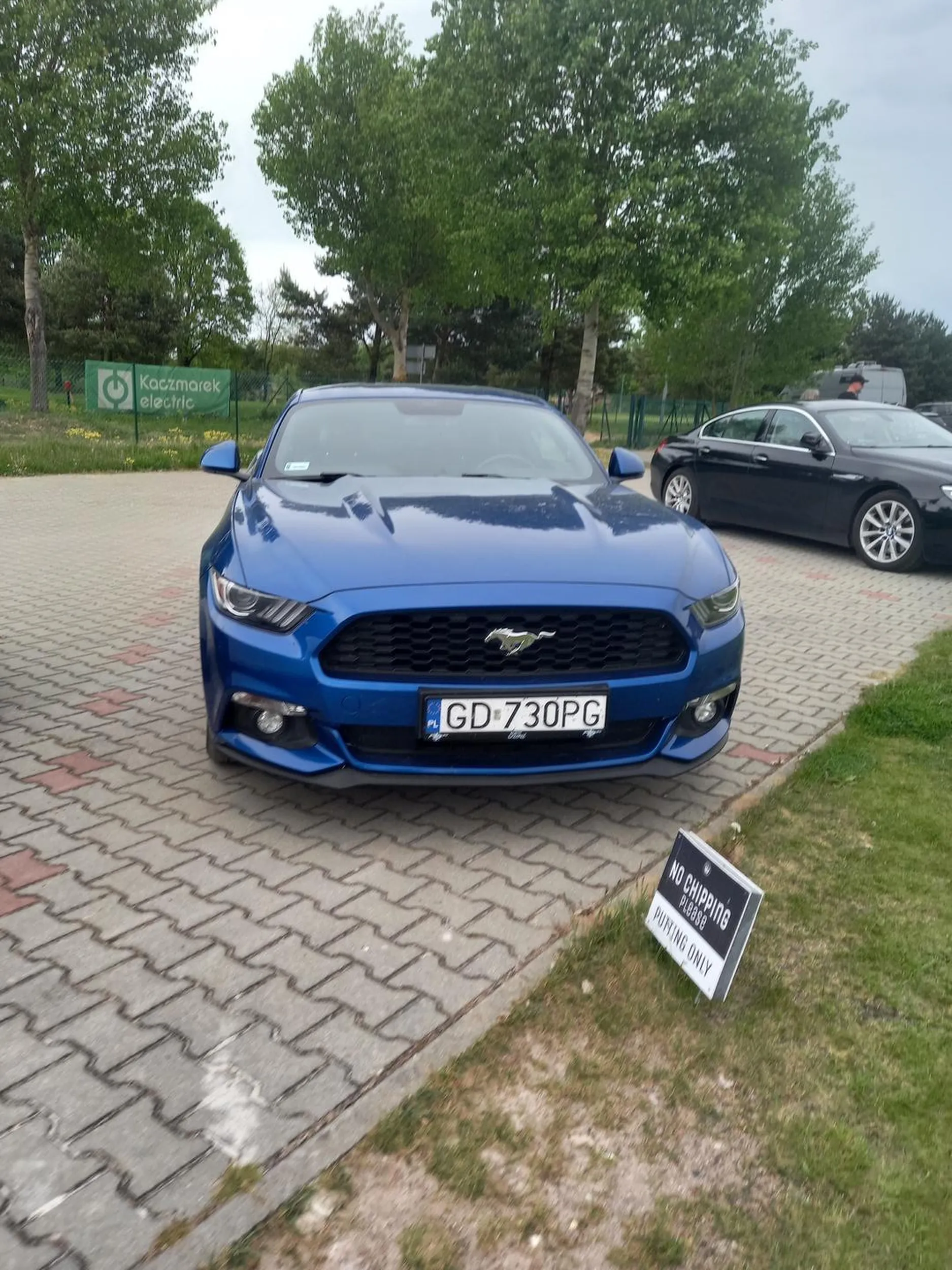 Kierowca walnoł mi auto od tyłu i kiedy do niego wyszedlem zaczął śpiewać  ,,balladę o cyckach" i spierdolił