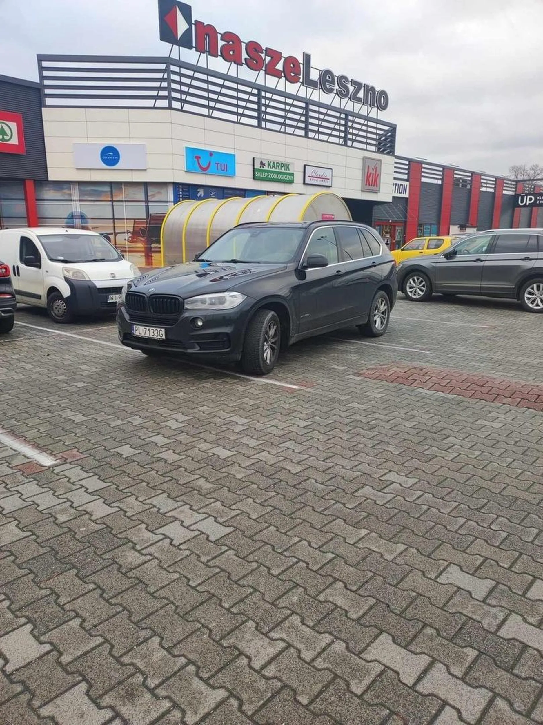 xdddddd ameba jakaś