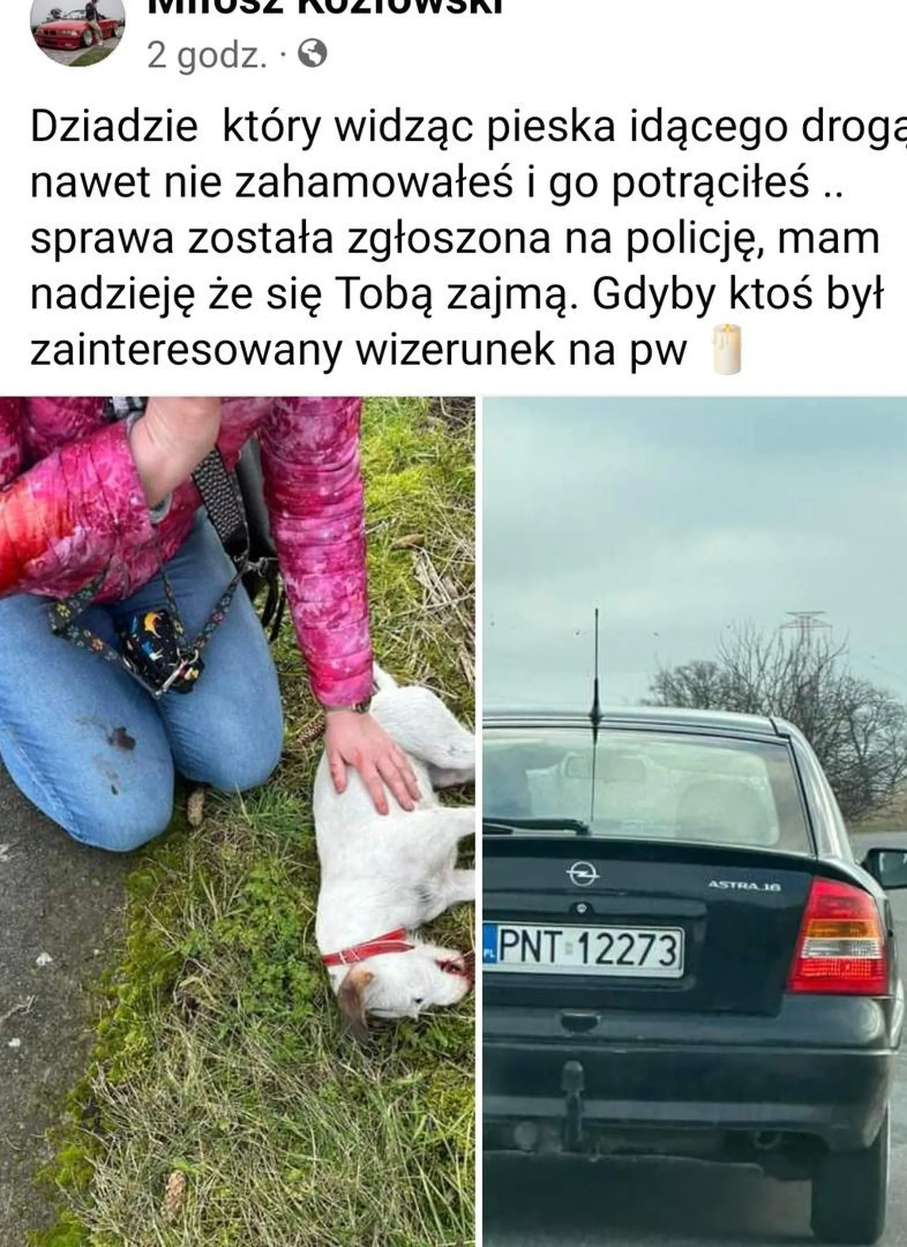 Morderca.zwykla kurw@ obyś zdechł