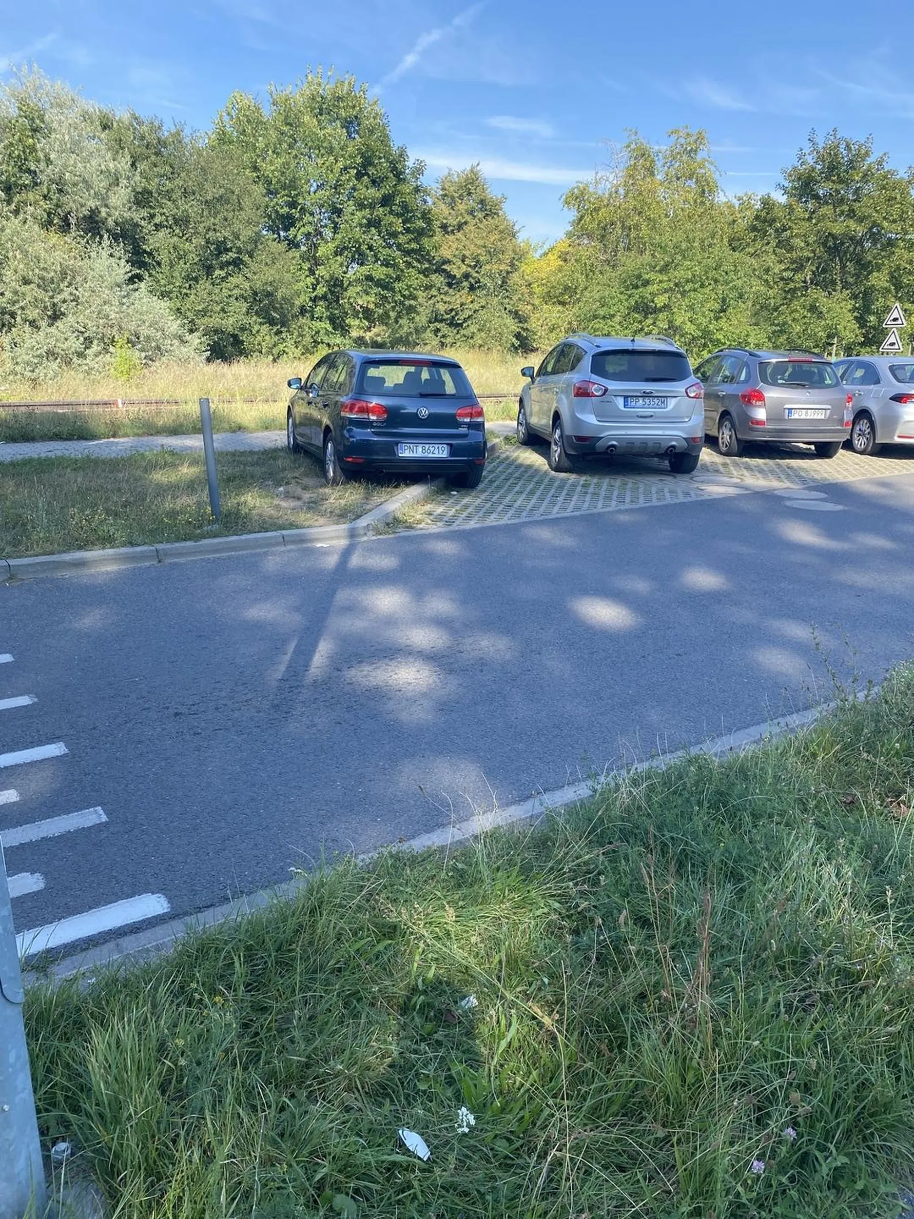 Gamoń nie umie parkować