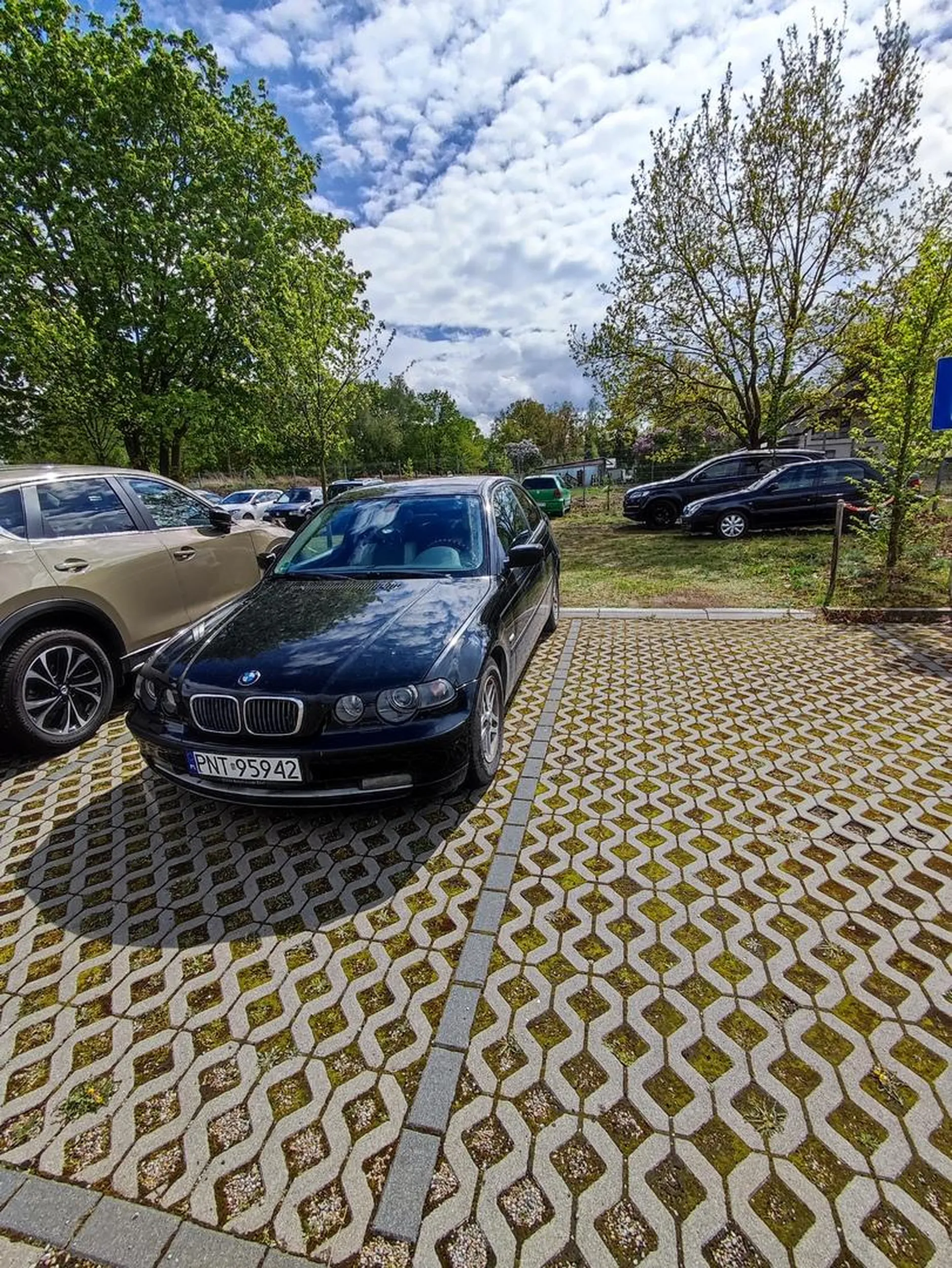 Jak jeszcze raz zastawisz wjazd na parking to calutką szybę będziesz miał w karnych kutasach