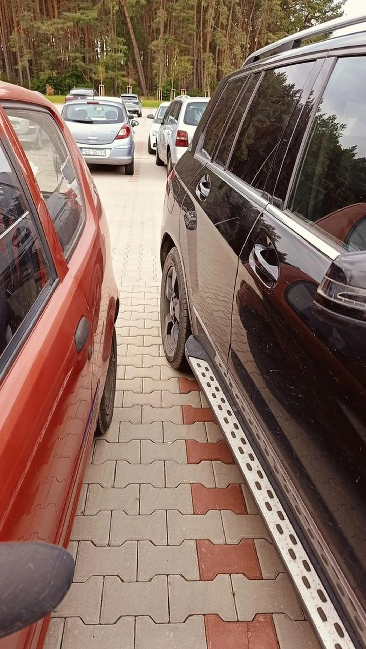 Tego nie trzeba komentować